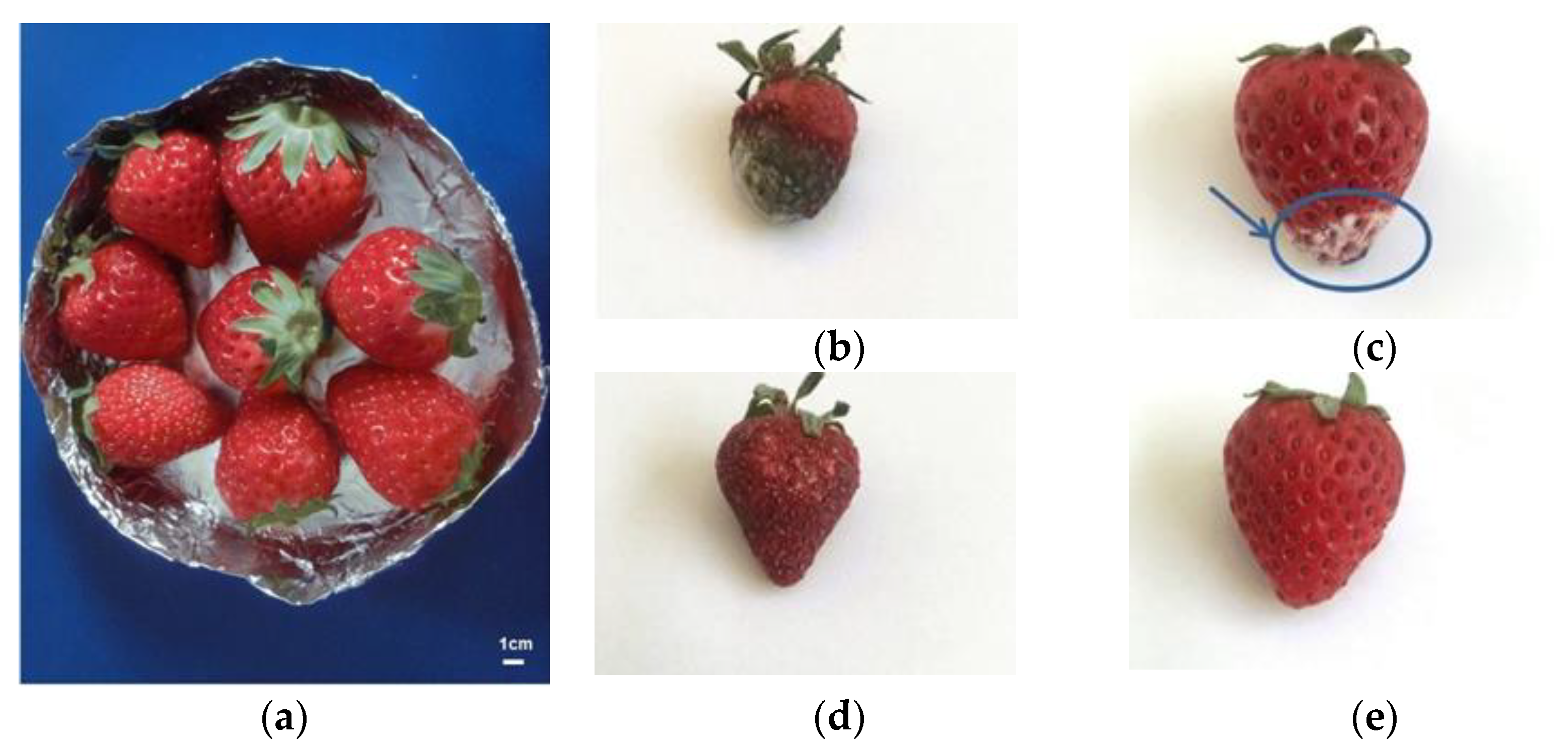 Applsci 11 11937 g009