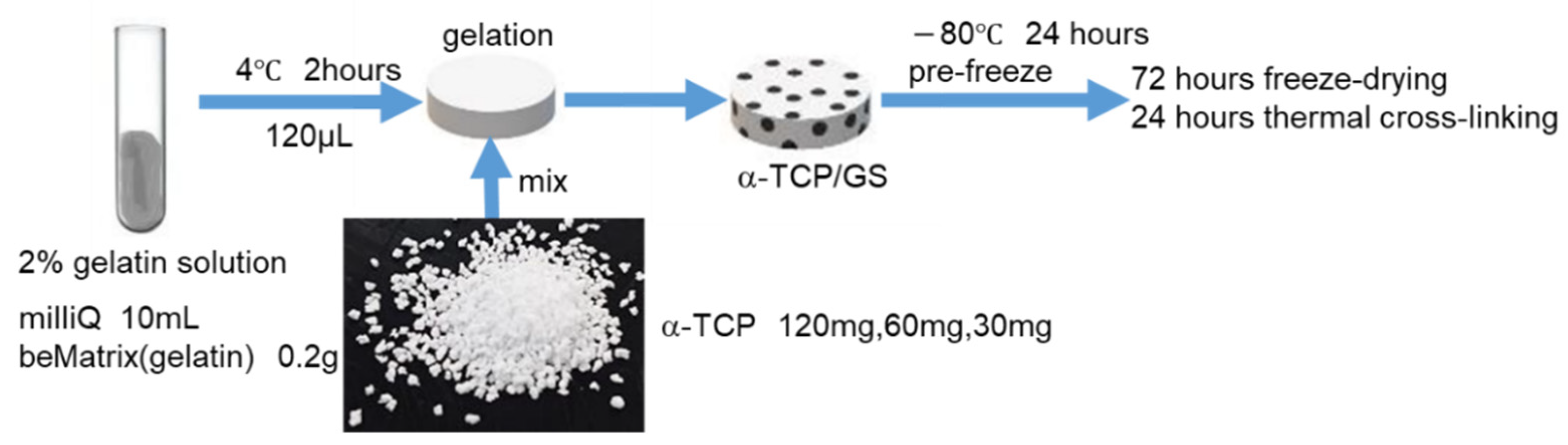 Applsci 11 11941 g001 Applsci 11 11941 g001