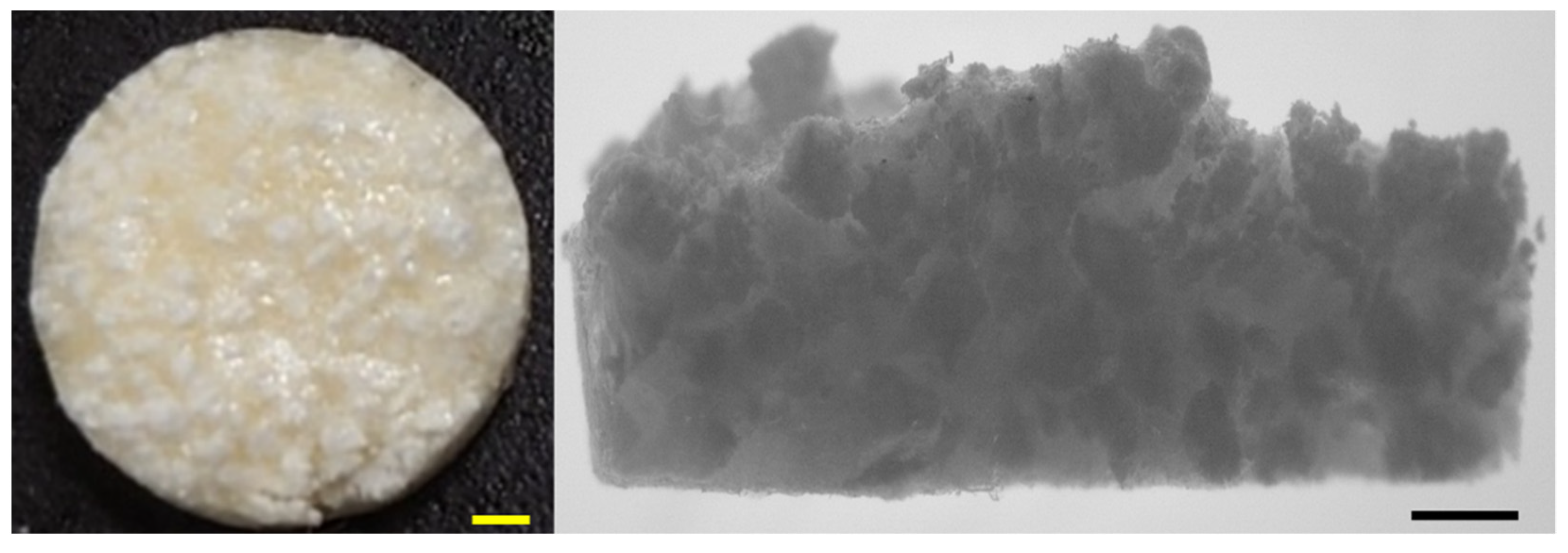 Applsci 11 11941 g002 Applsci 11 11941 g002