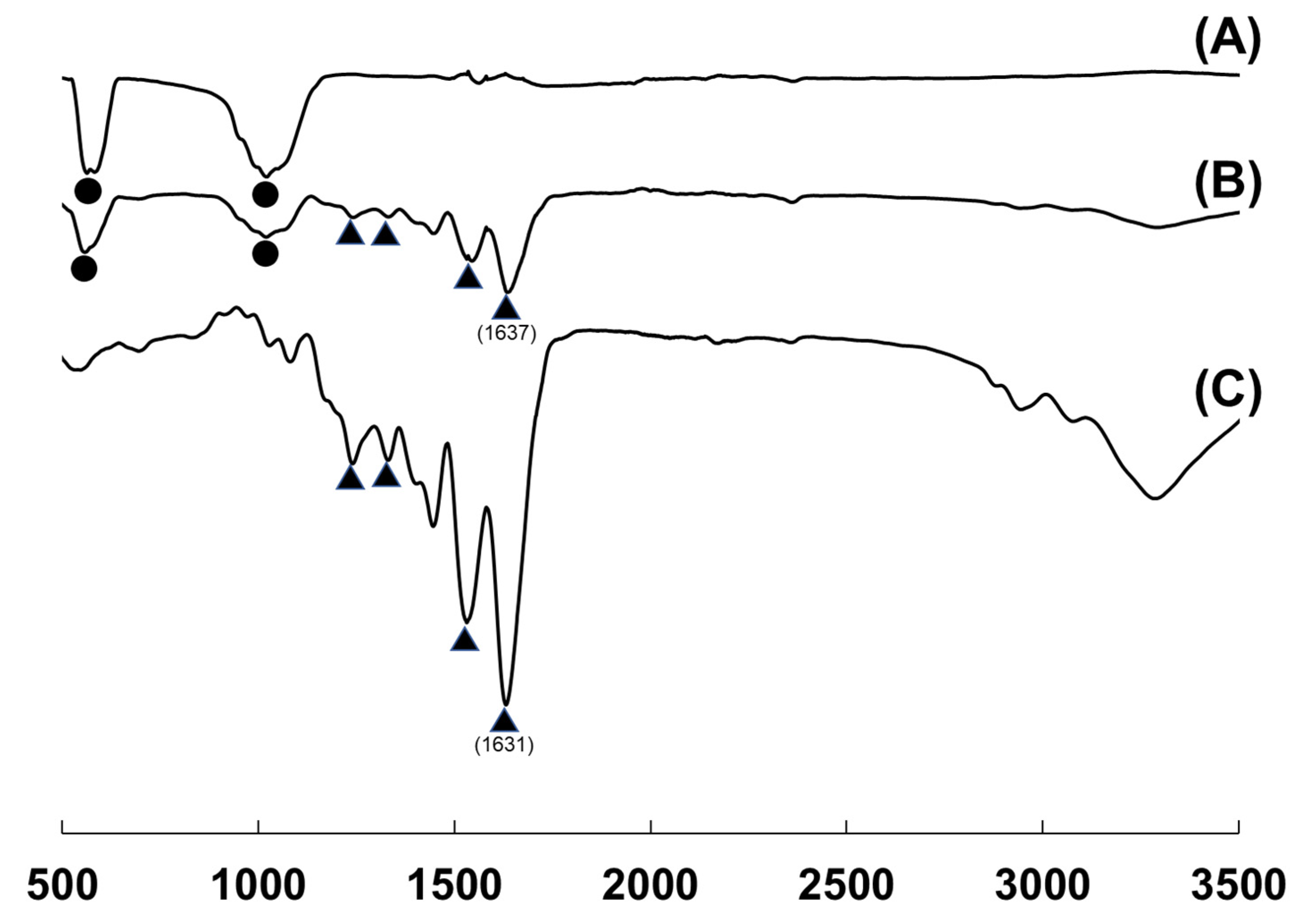 Applsci 11 11941 g006 Applsci 11 11941 g006