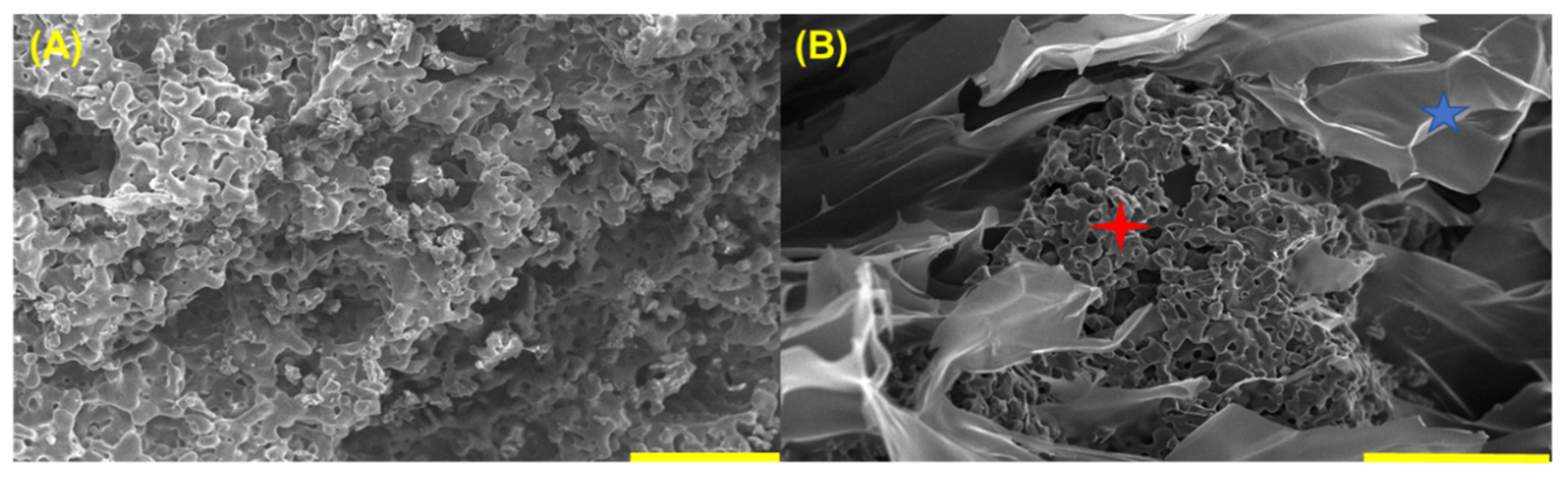 Applsci 11 11941 g008 Applsci 11 11941 g008