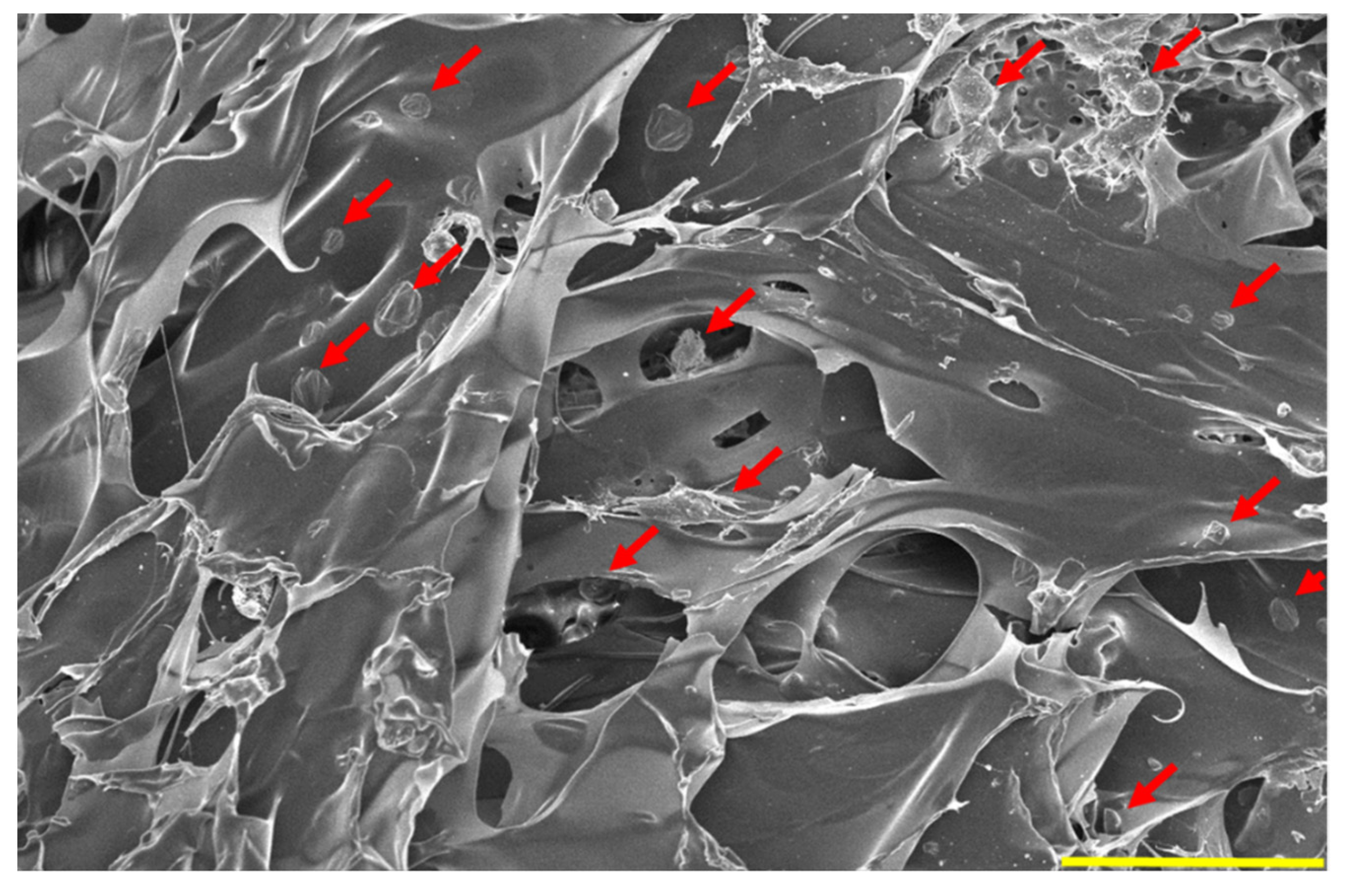 Applsci 11 11941 g010 Applsci 11 11941 g010