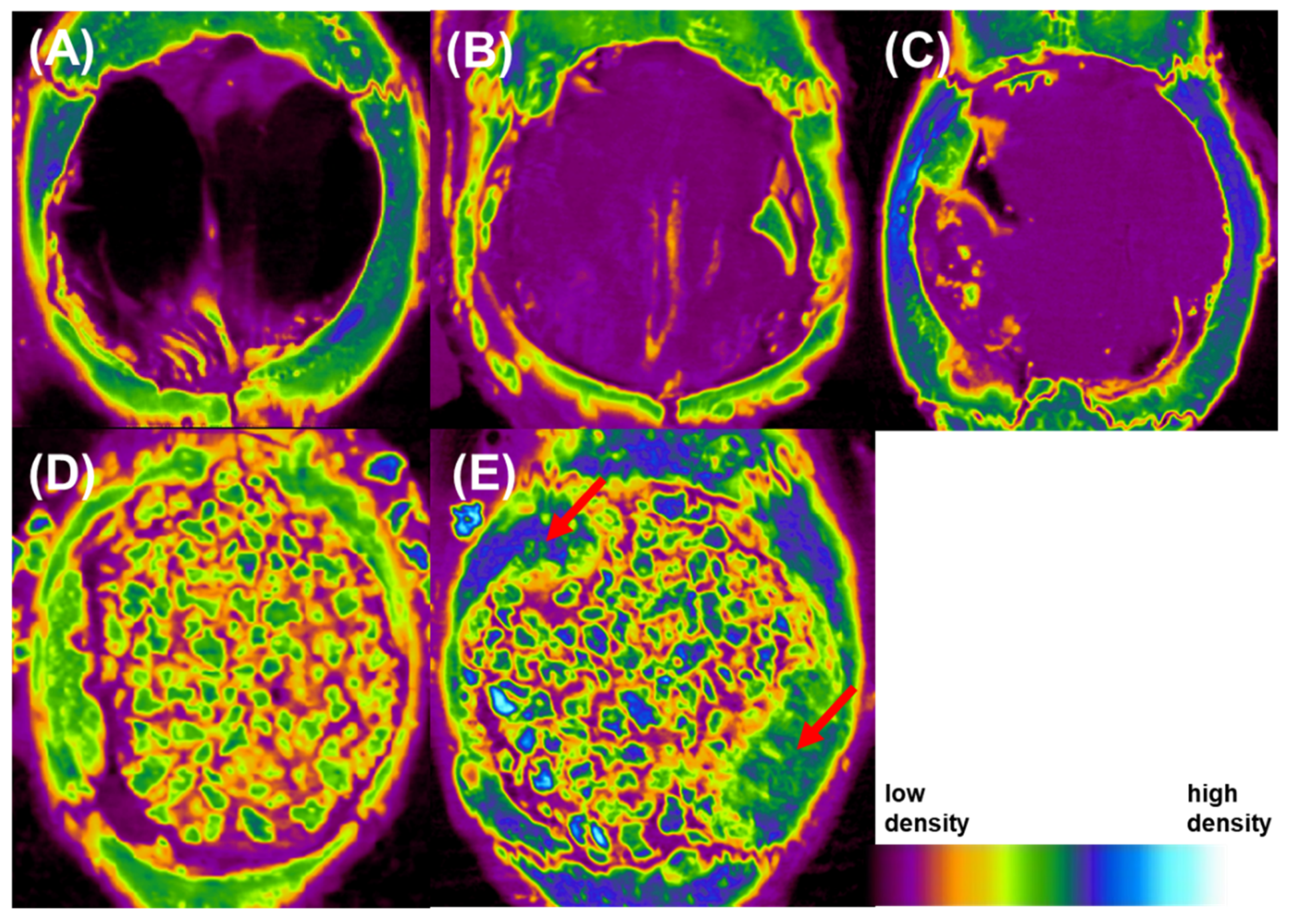 Applsci 11 11941 g013 Applsci 11 11941 g013