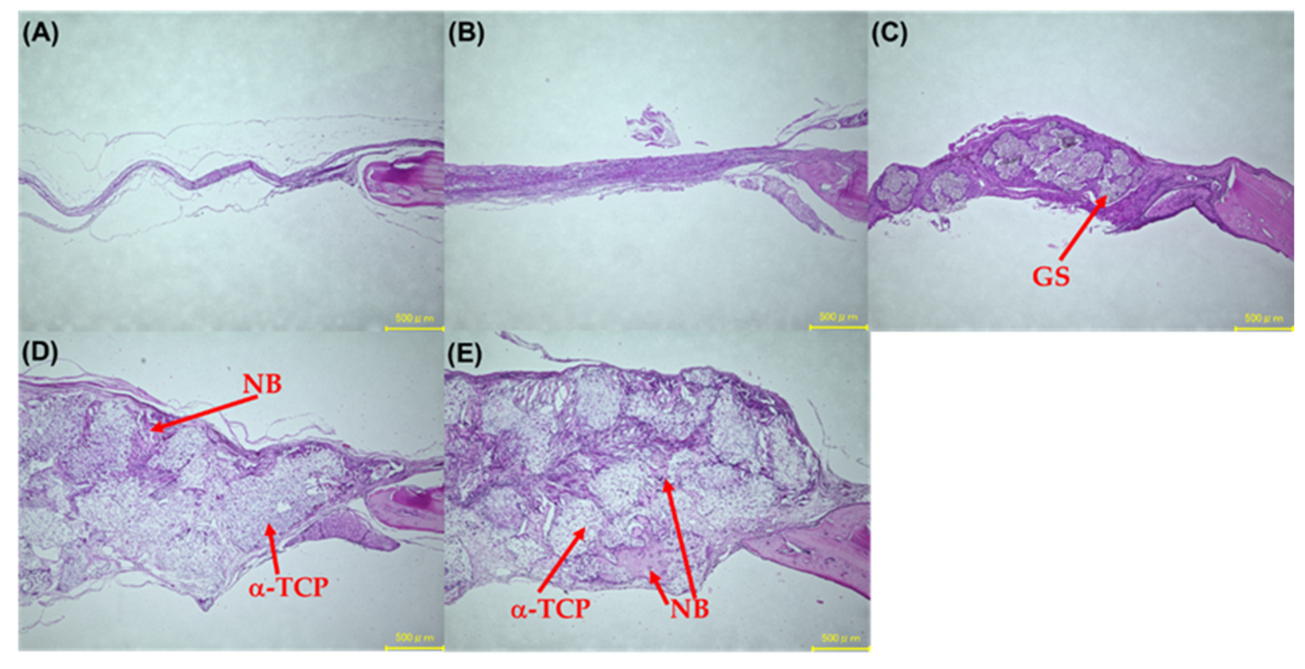 Applsci 11 11941 g015 Applsci 11 11941 g015