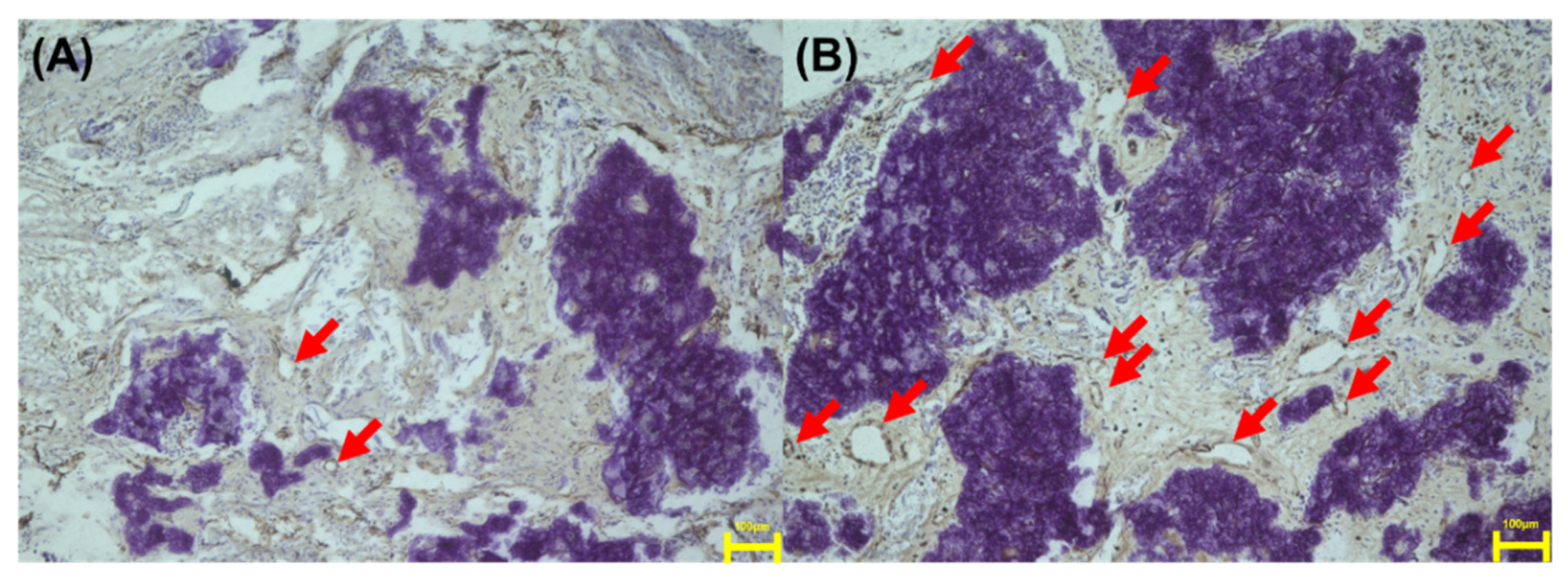 Applsci 11 11941 g016 Applsci 11 11941 g016