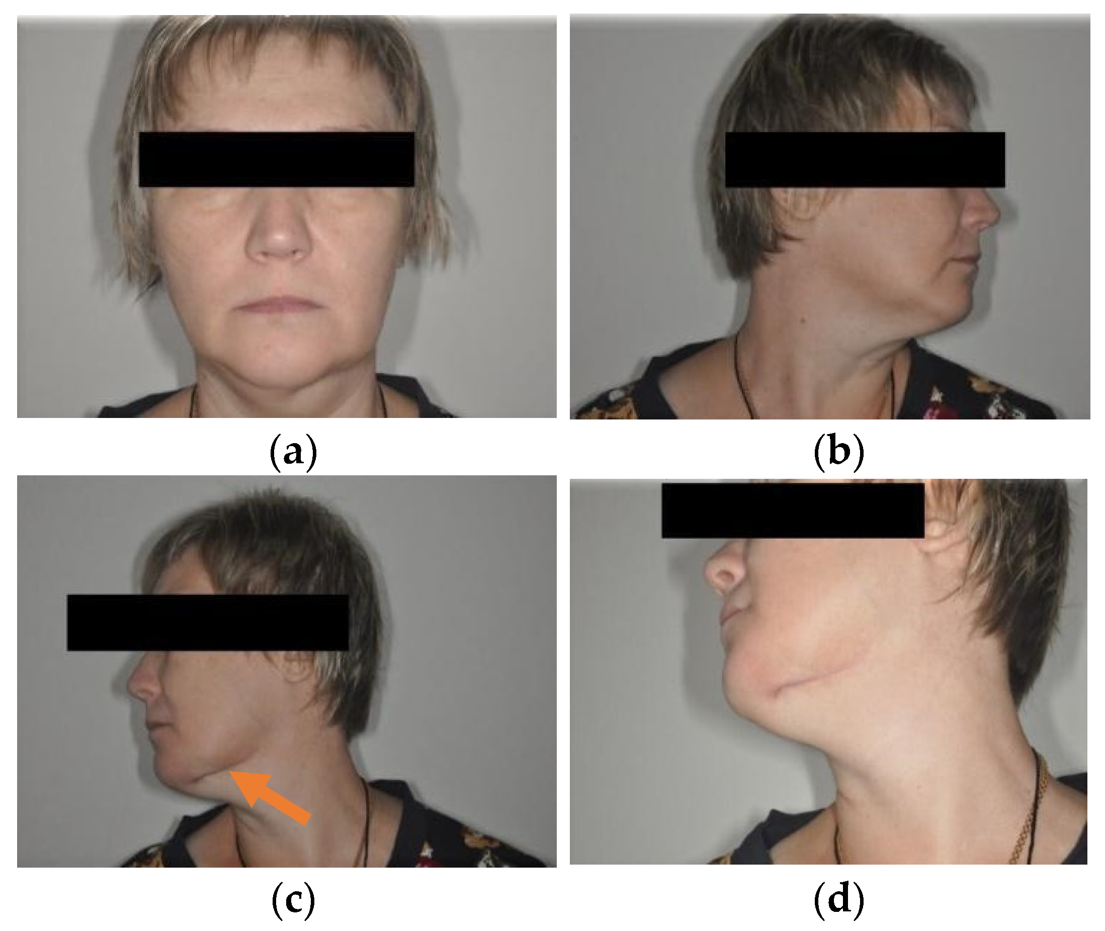 Applsci 11 11950 g001 550