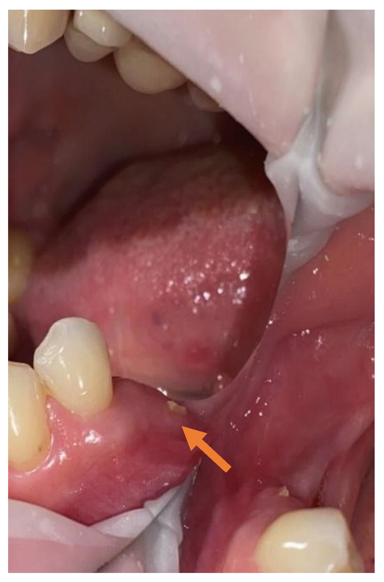 Applsci 11 11950 g002 550