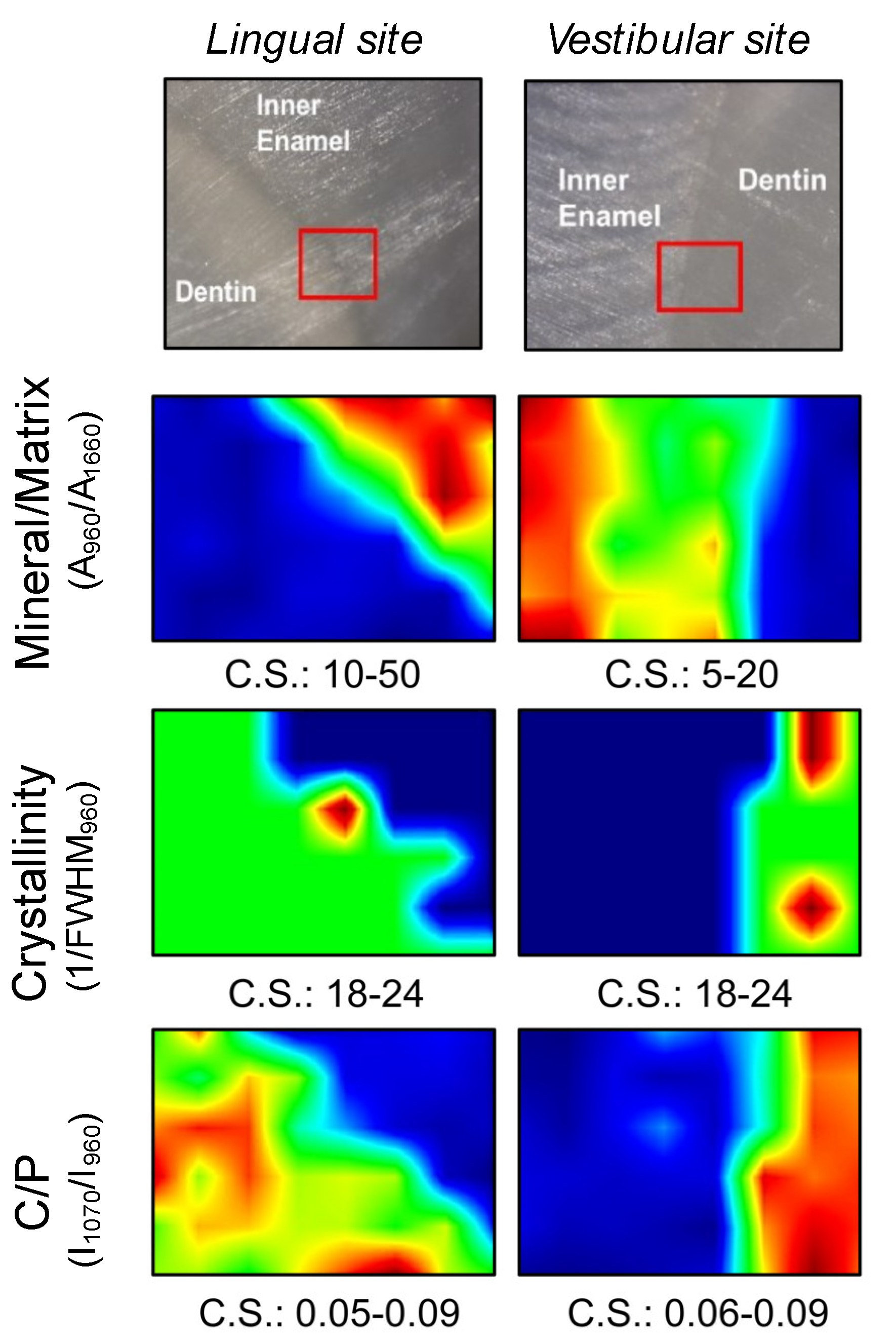 Applsci 11 11953 g003