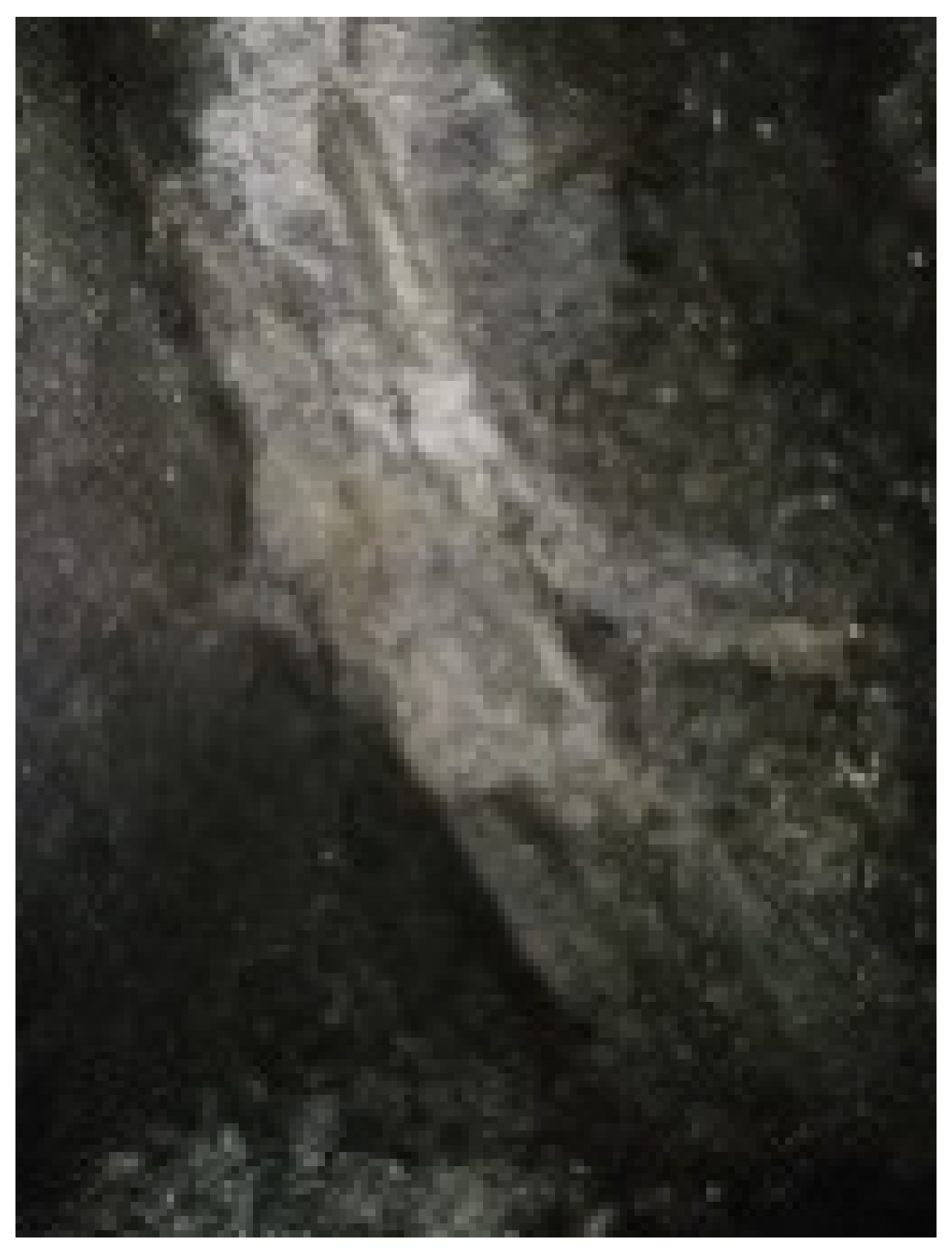 Applsci 11 11956 i003