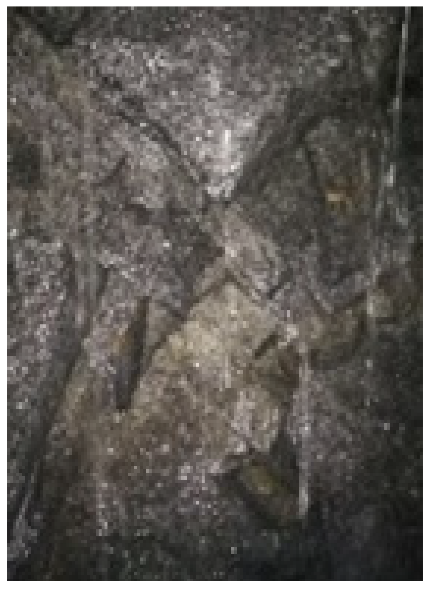 Applsci 11 11956 i004