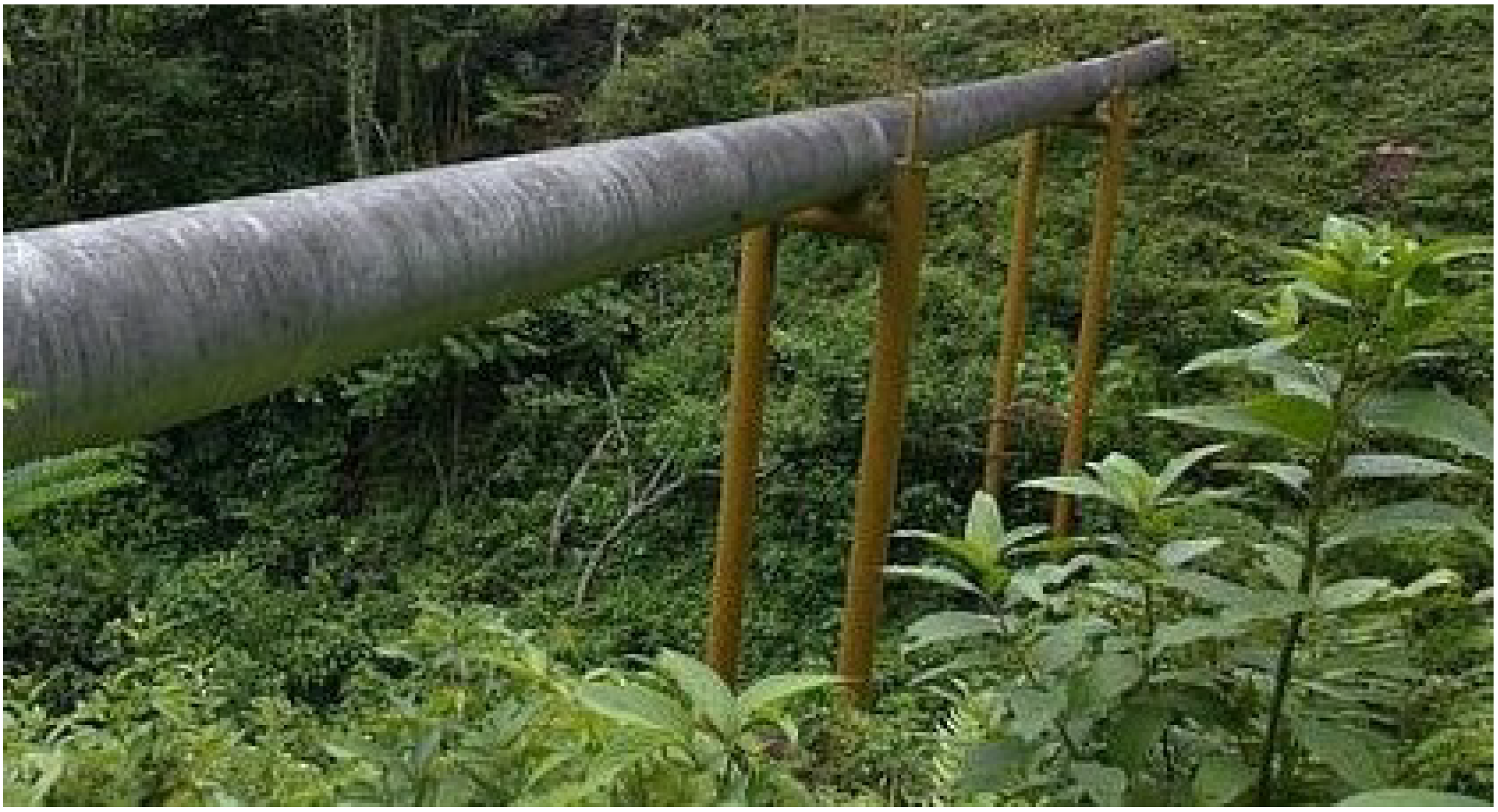 Applsci 11 11993 g004 Applsci 11 11993 g004