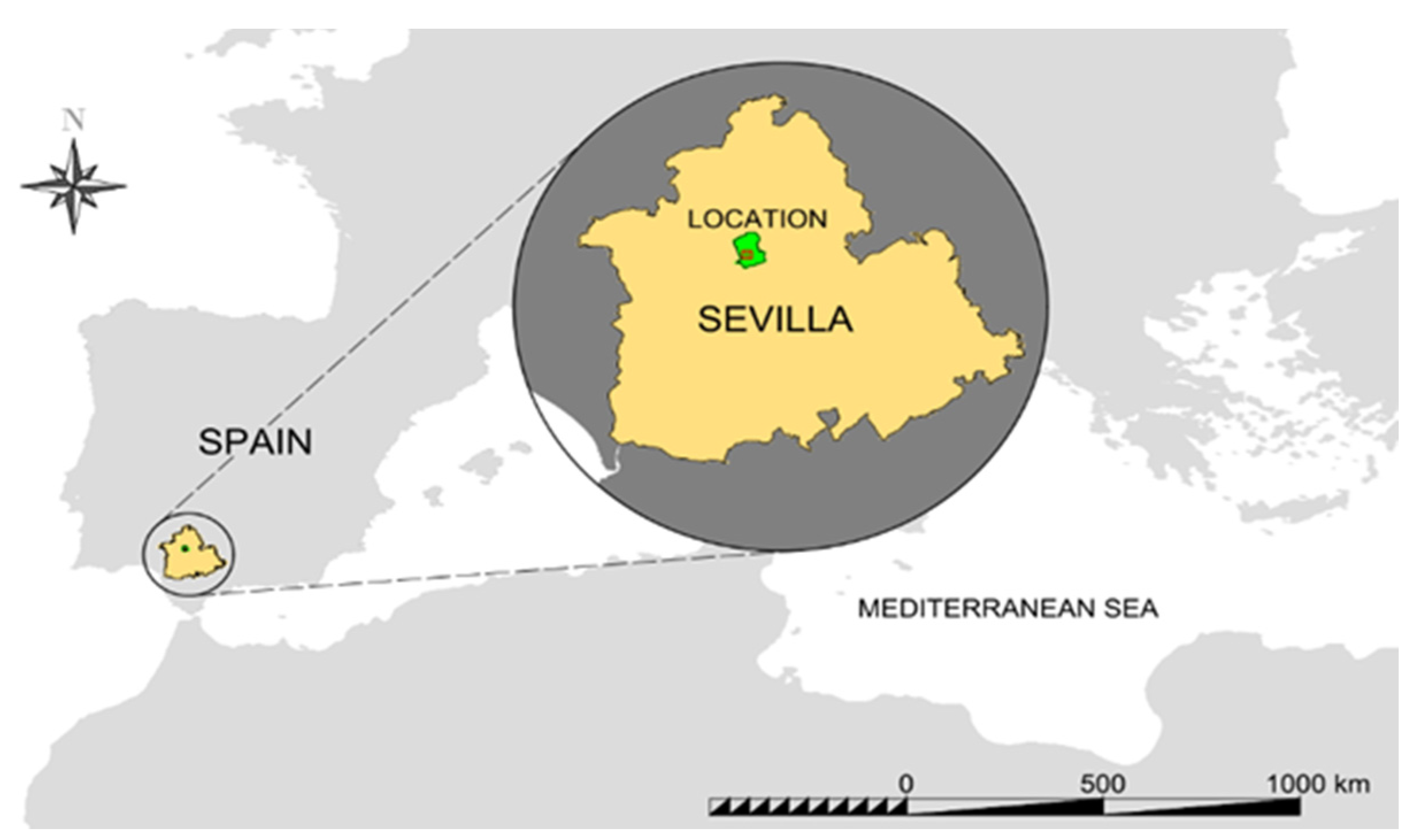 Applsci 11 11994 g001