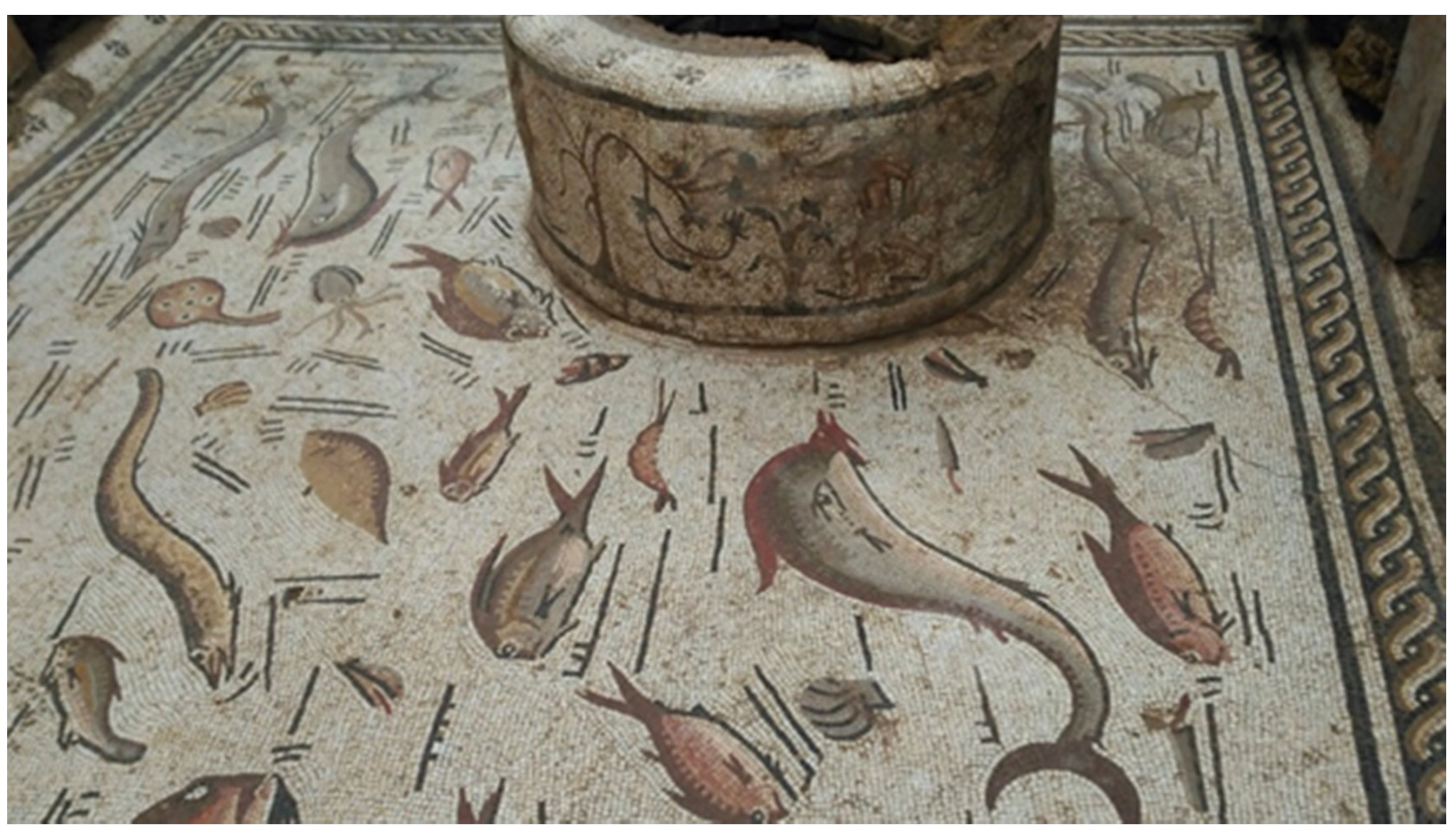 Applsci 11 11994 g002