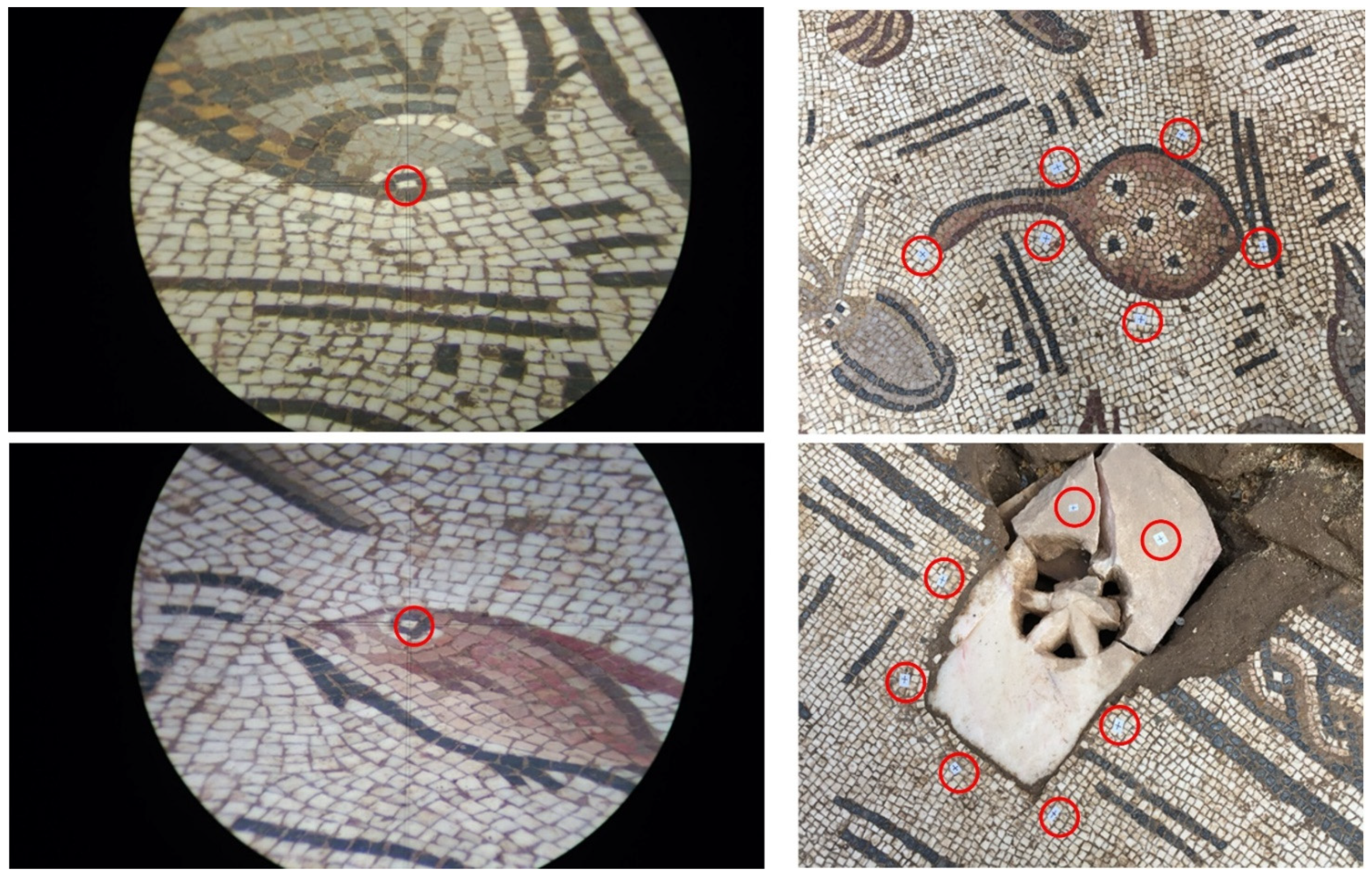 Applsci 11 11994 g005