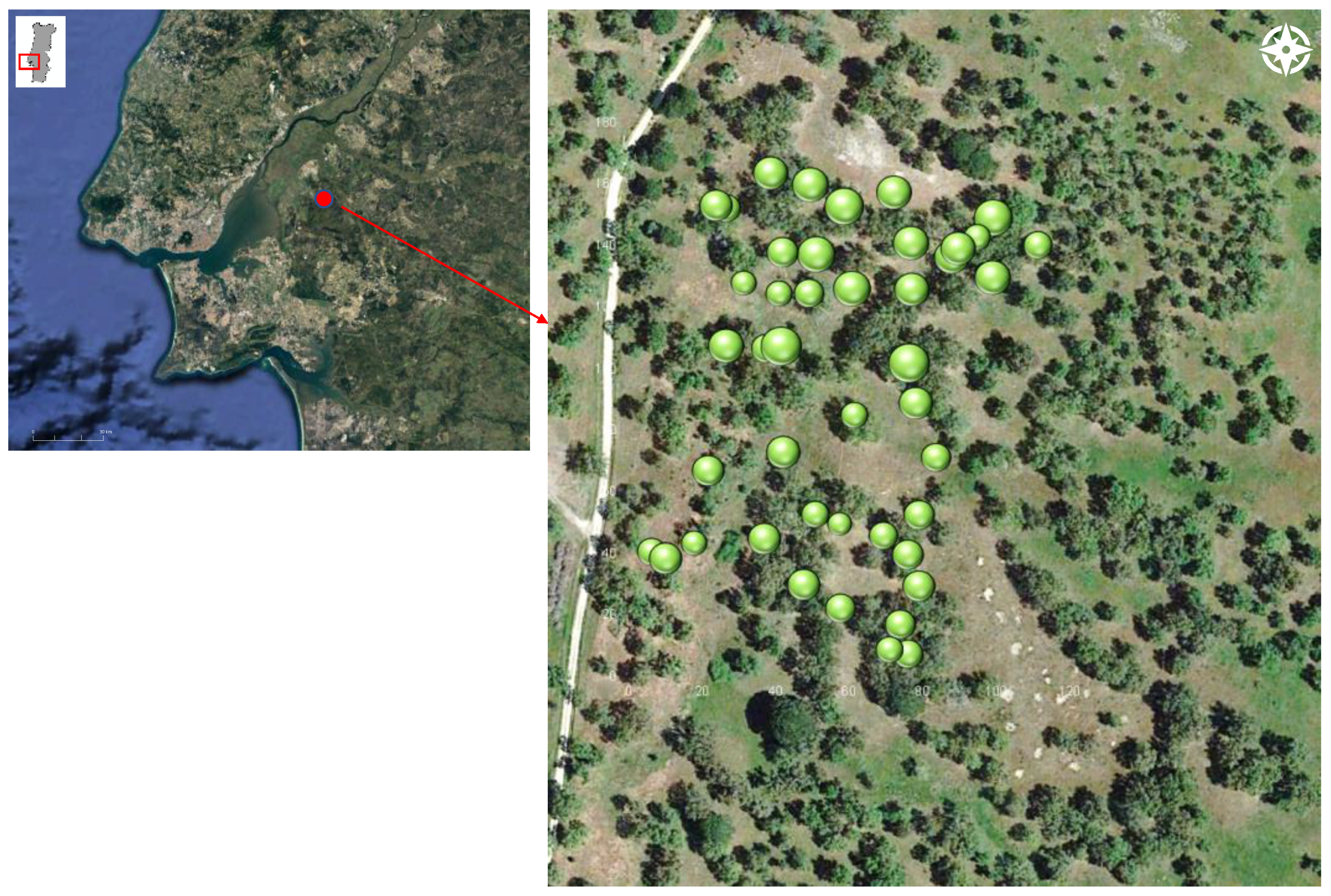 Applsci 11 11998 g001