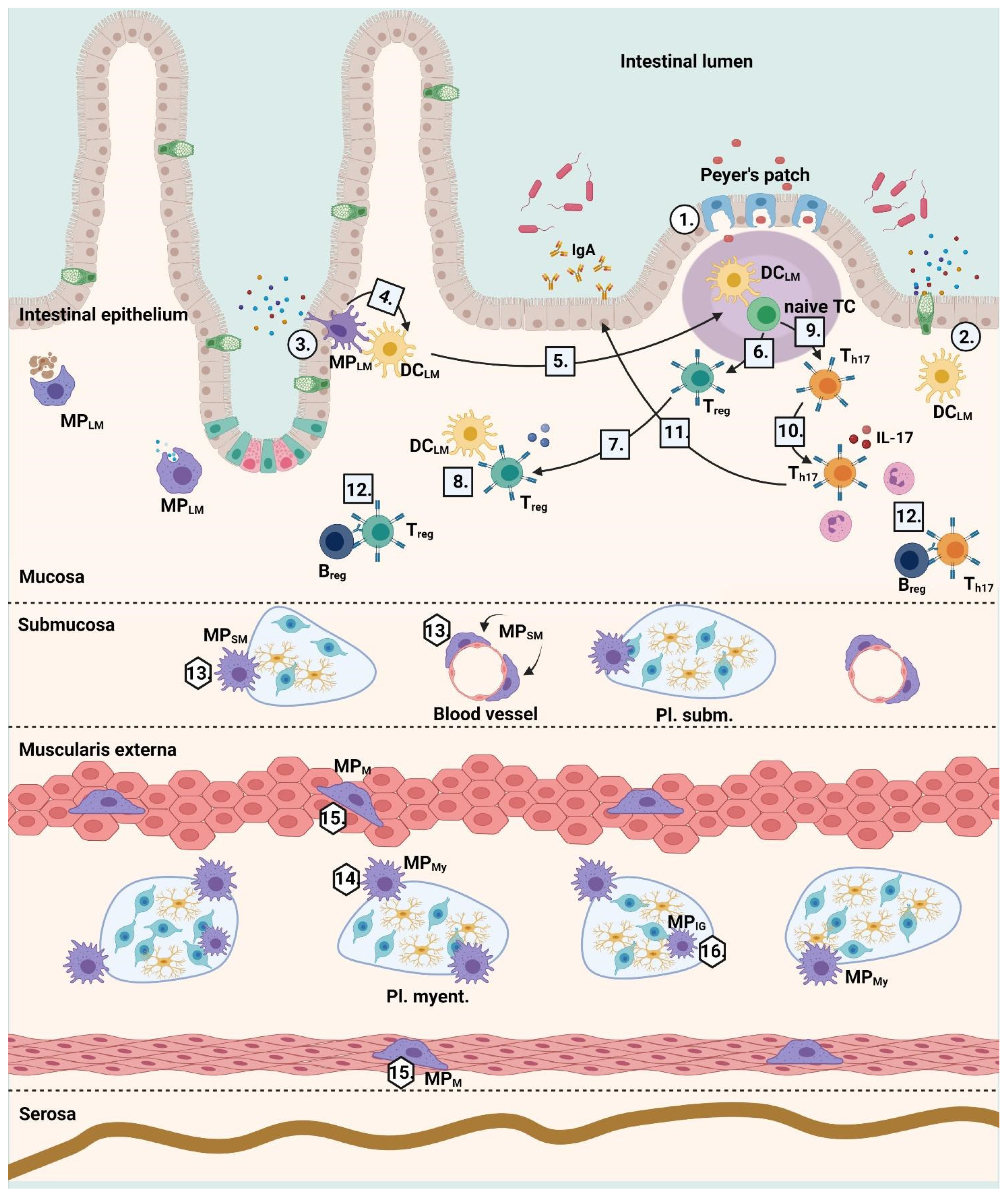 Applsci 11 12000 g001