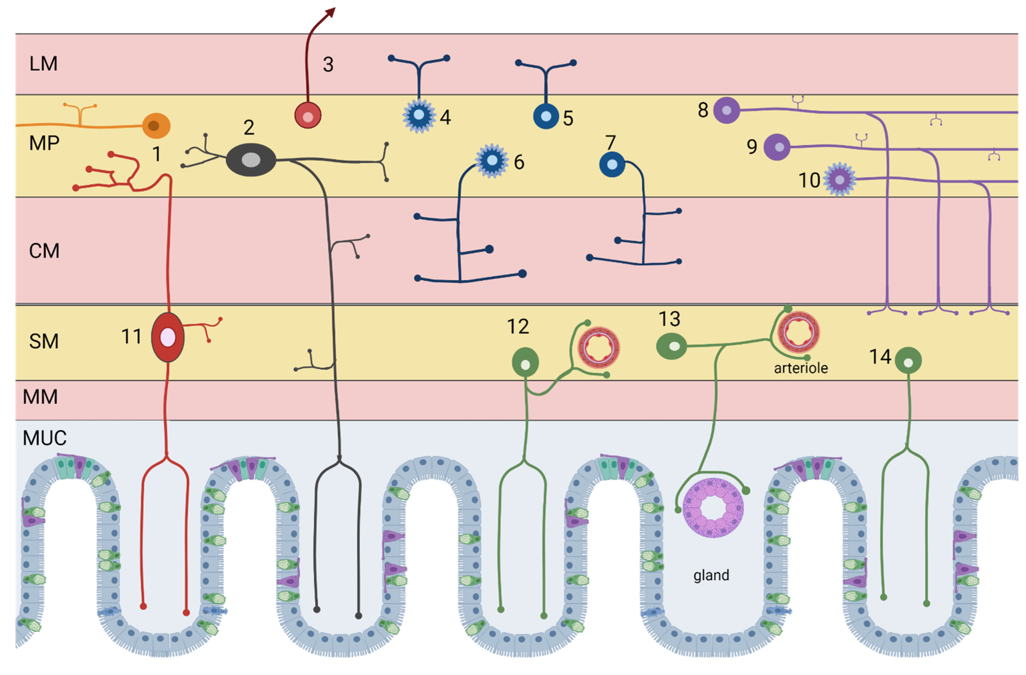 Applsci 11 12000 g002