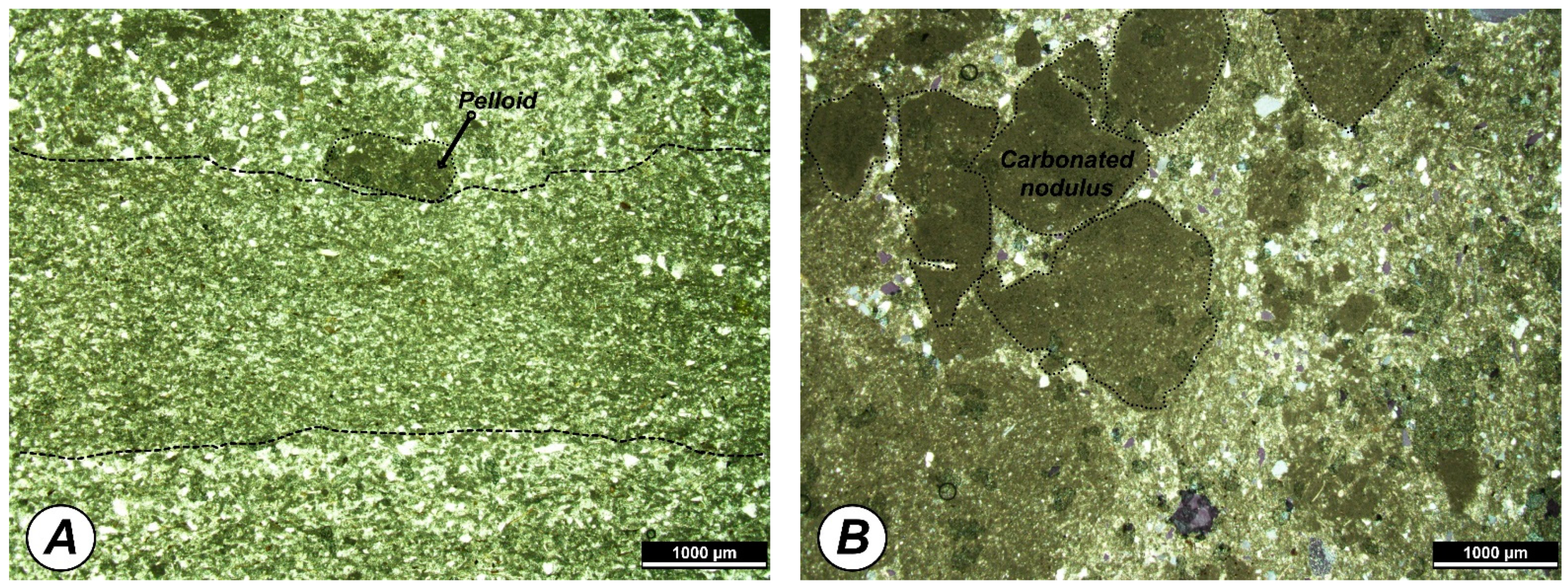 Applsci 11 12021 g004a Applsci 11 12021 g004a