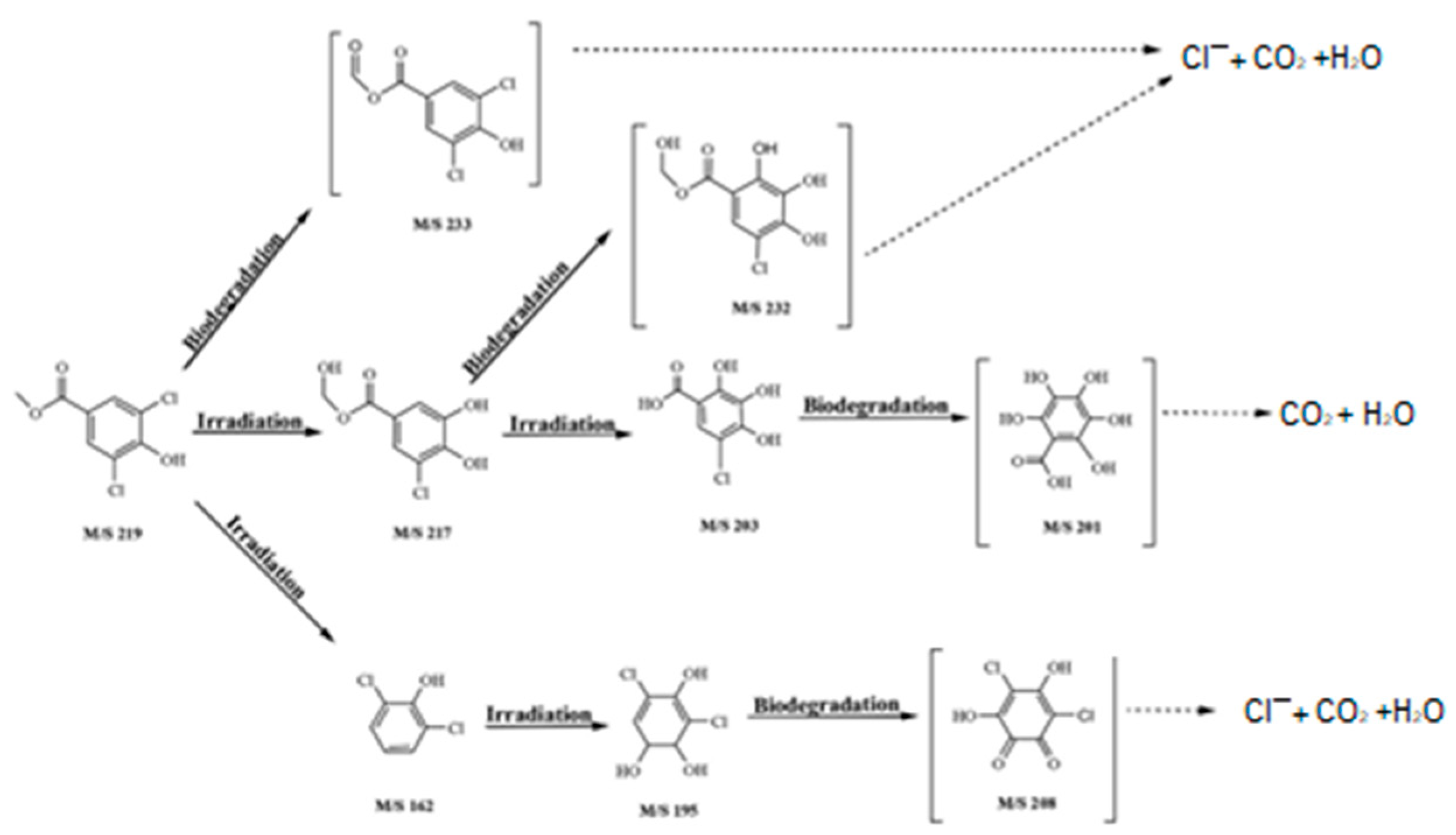Applsci 11 12032 g003 550