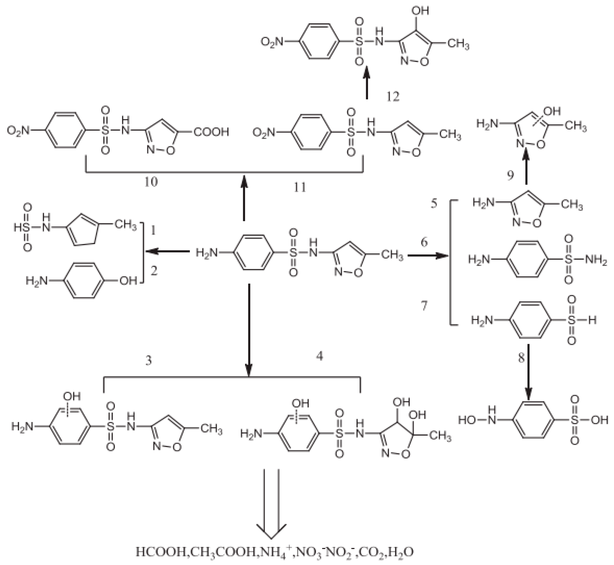 Applsci 11 12032 g009 550