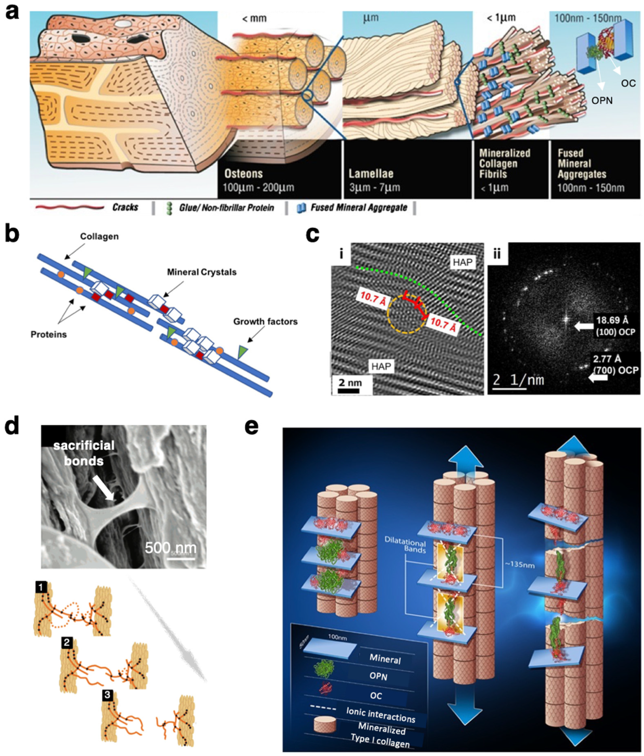Applsci 11 12033 g002 Applsci 11 12033 g002