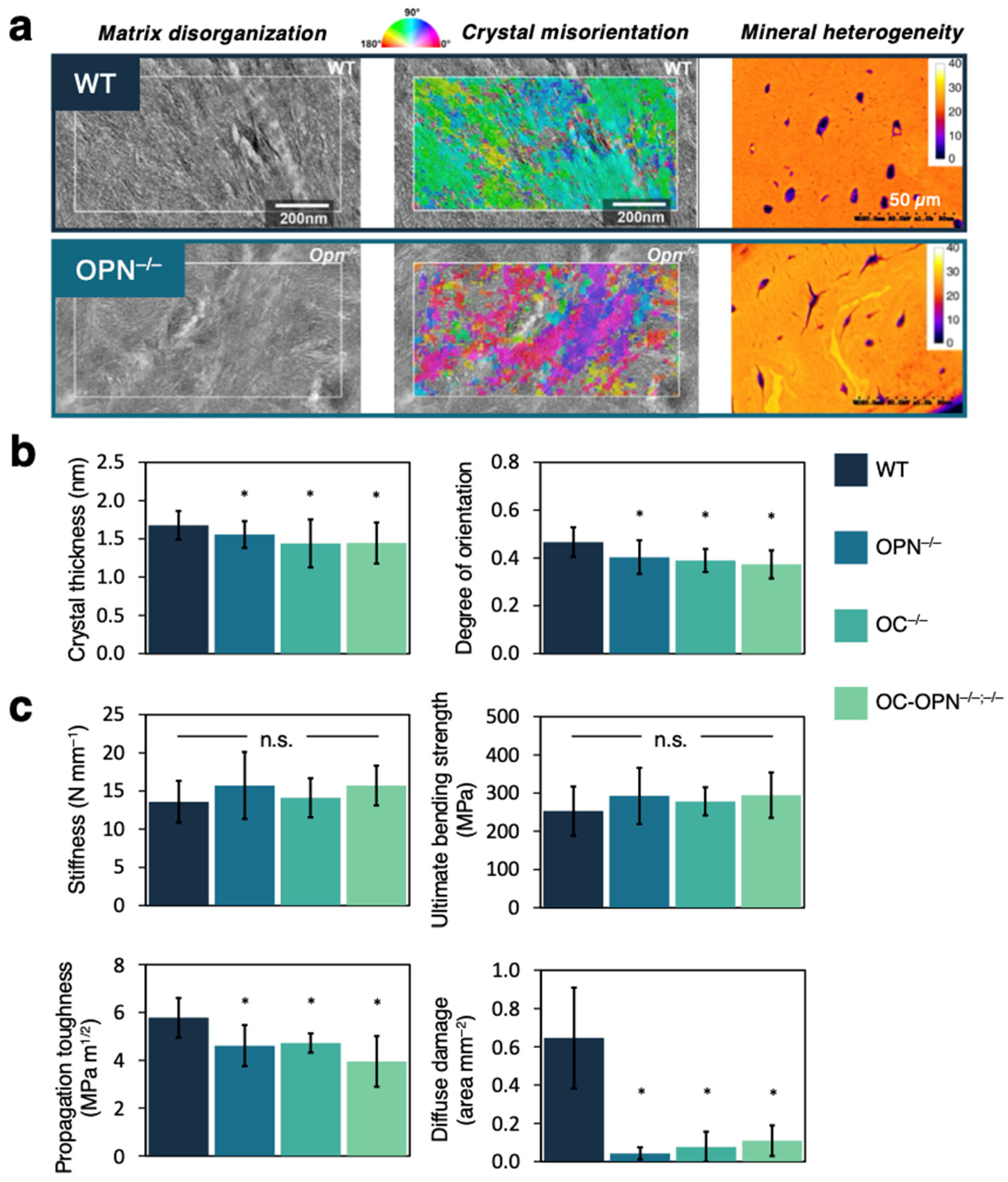 Applsci 11 12033 g003 Applsci 11 12033 g003