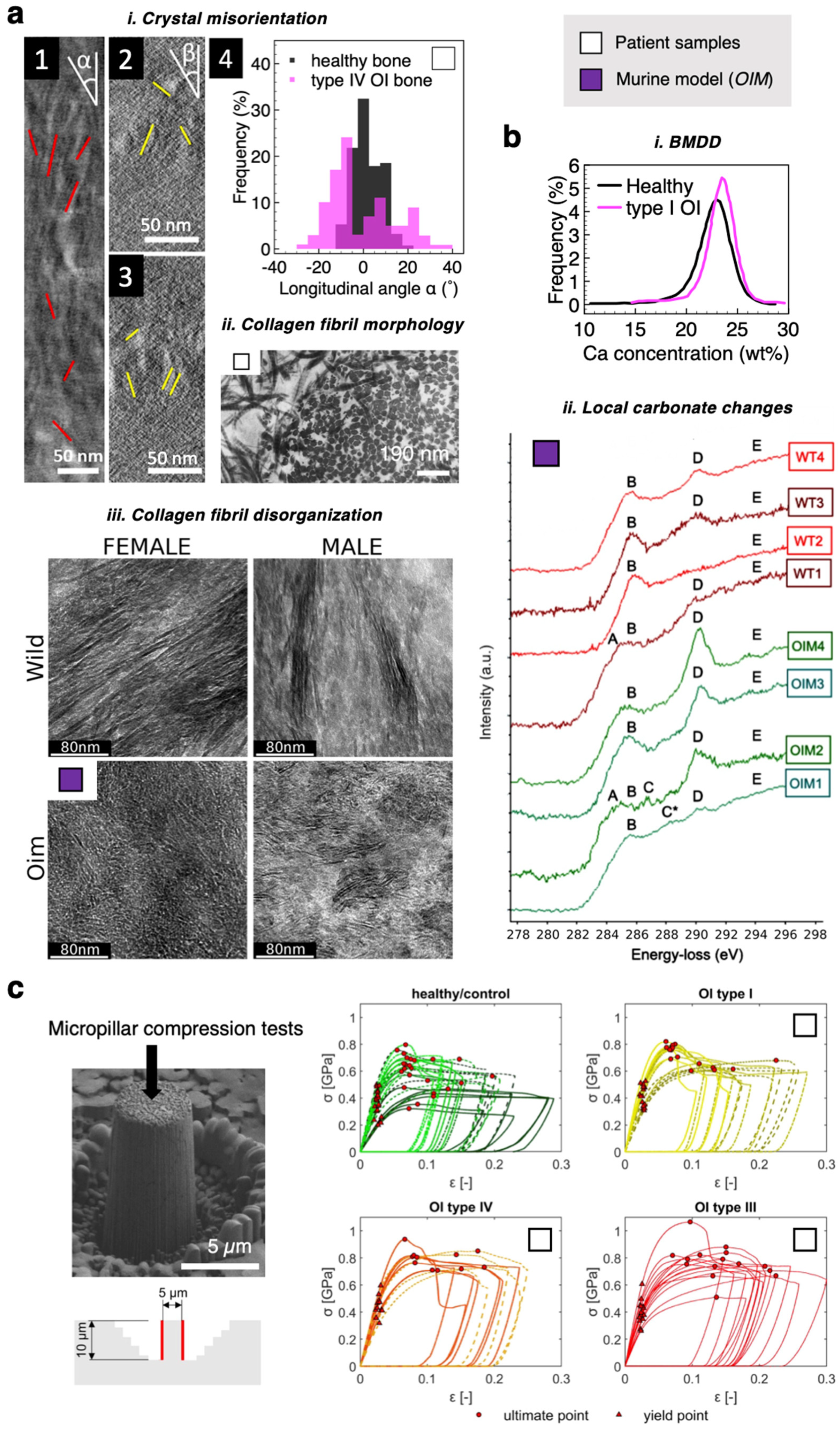 Applsci 11 12033 g005 Applsci 11 12033 g005