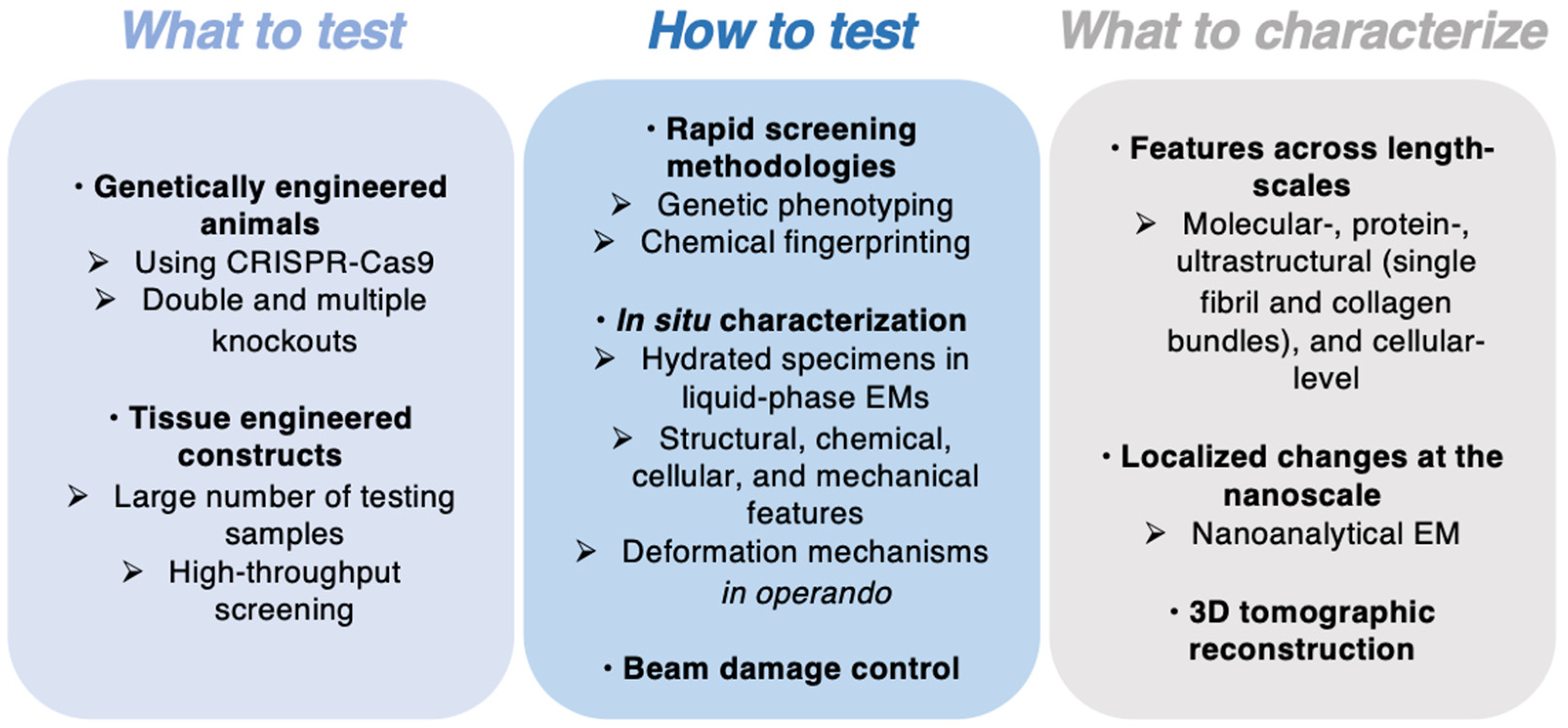 Applsci 11 12033 g006 Applsci 11 12033 g006