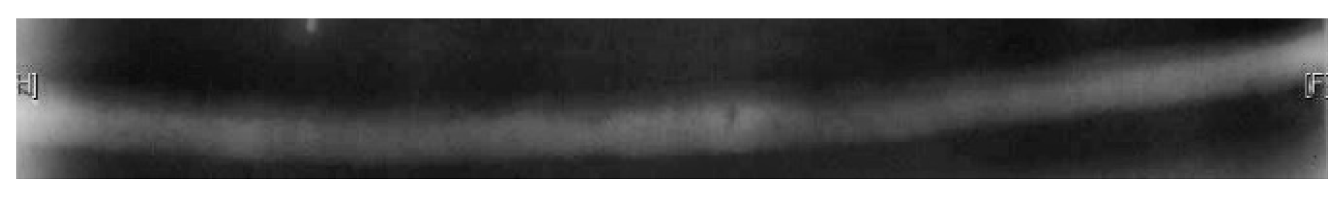 Applsci 11 12051 g010