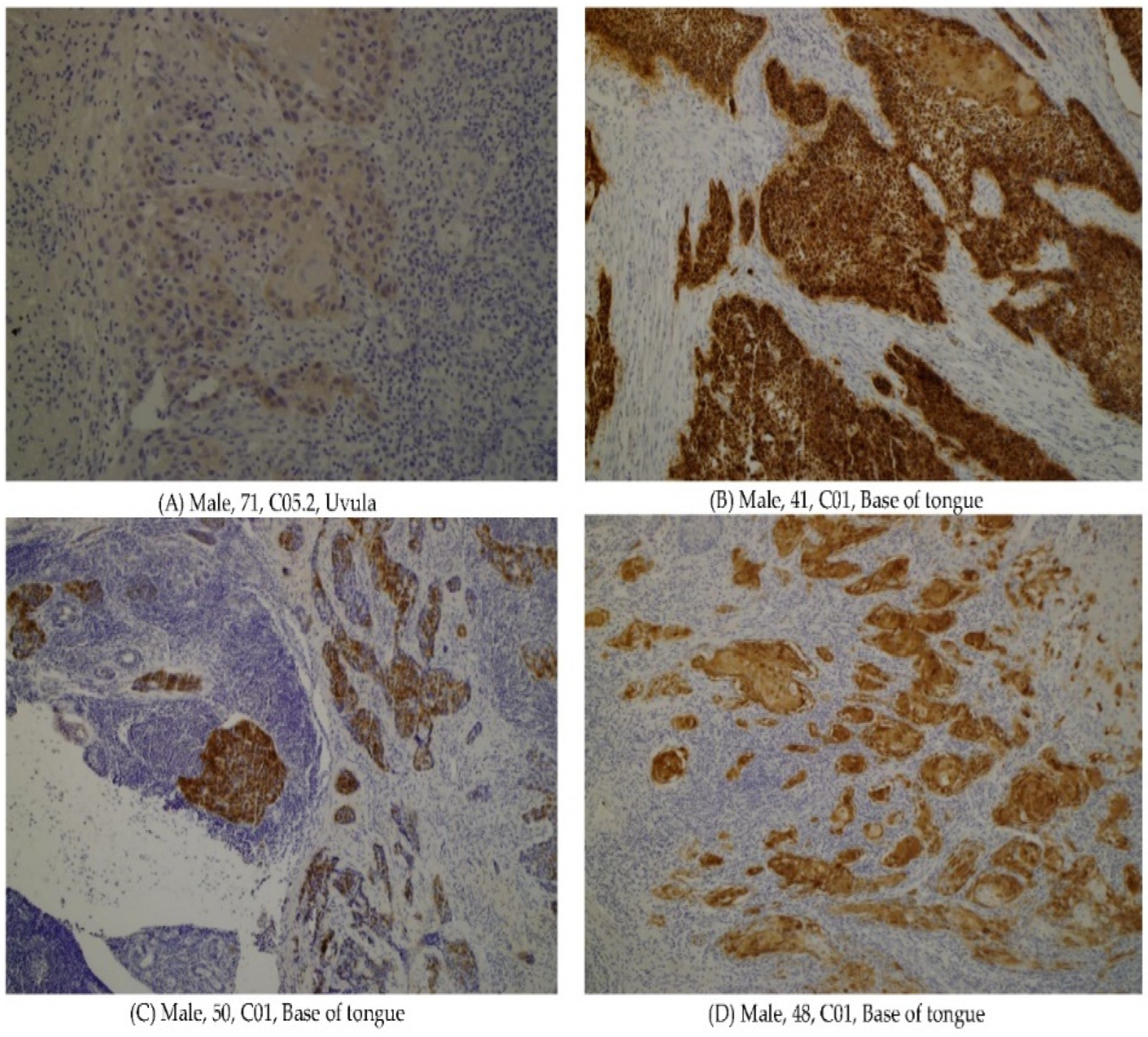 Applsci 11 12079 g001