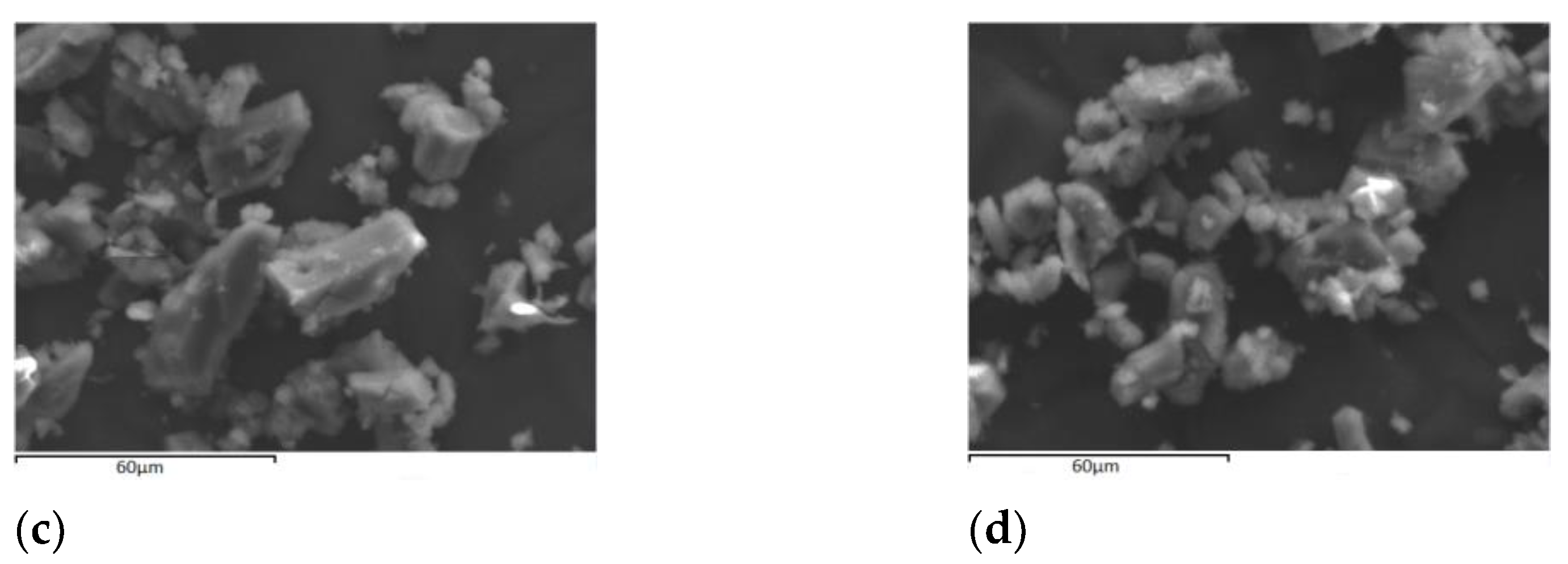 Applsci 11 12085 g009b