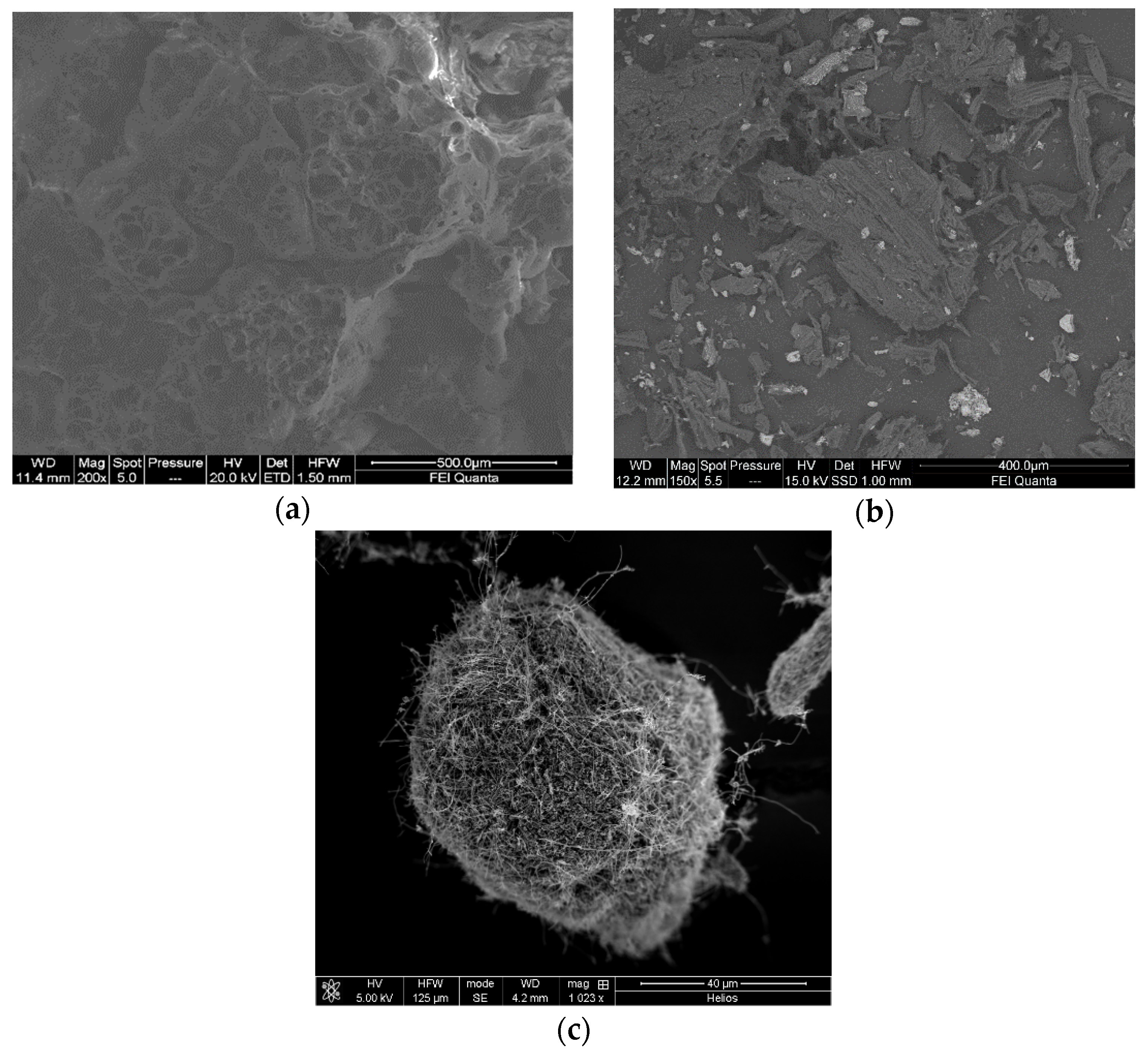 Applsci 11 12103 g003