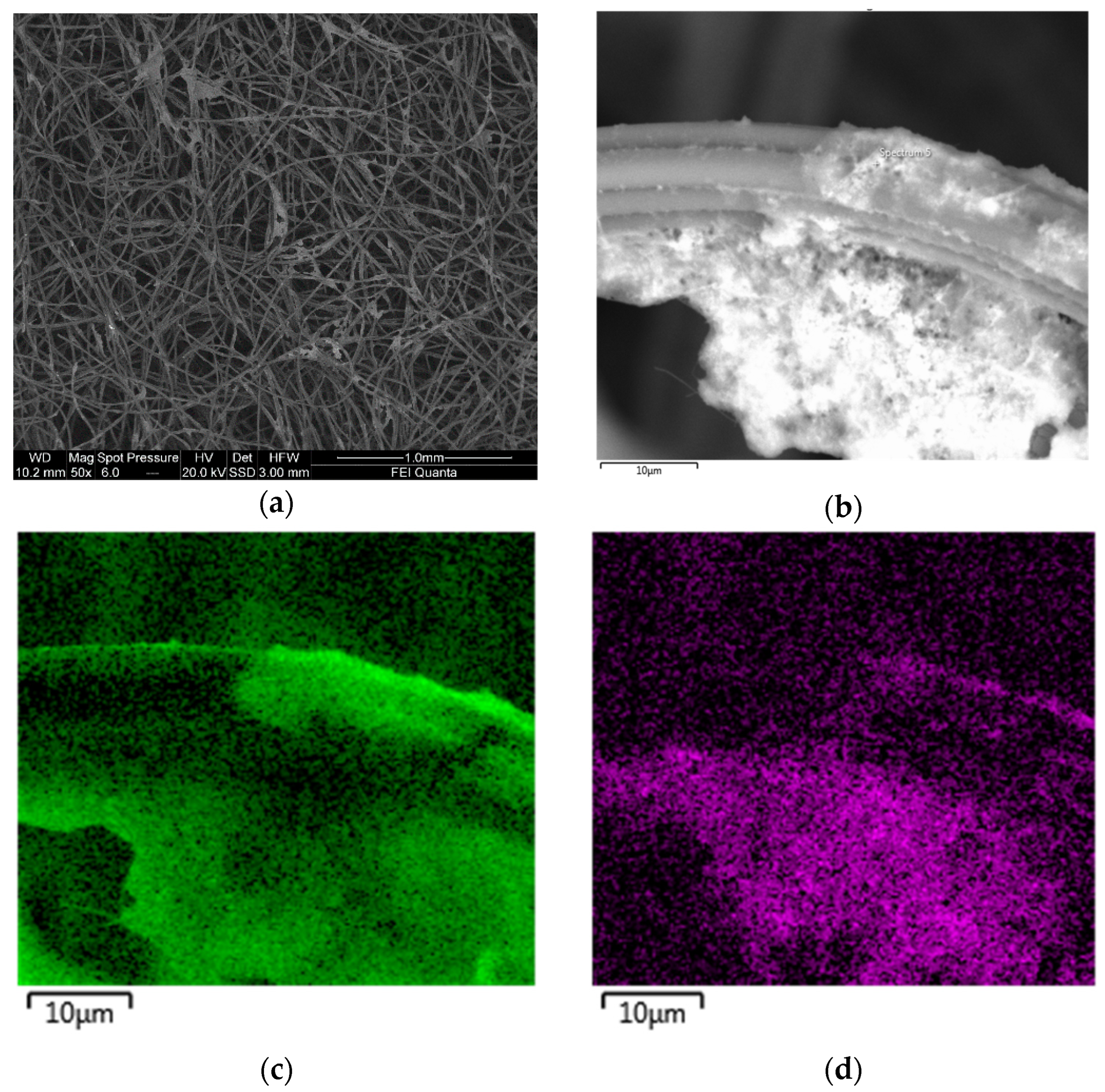 Applsci 11 12103 g005