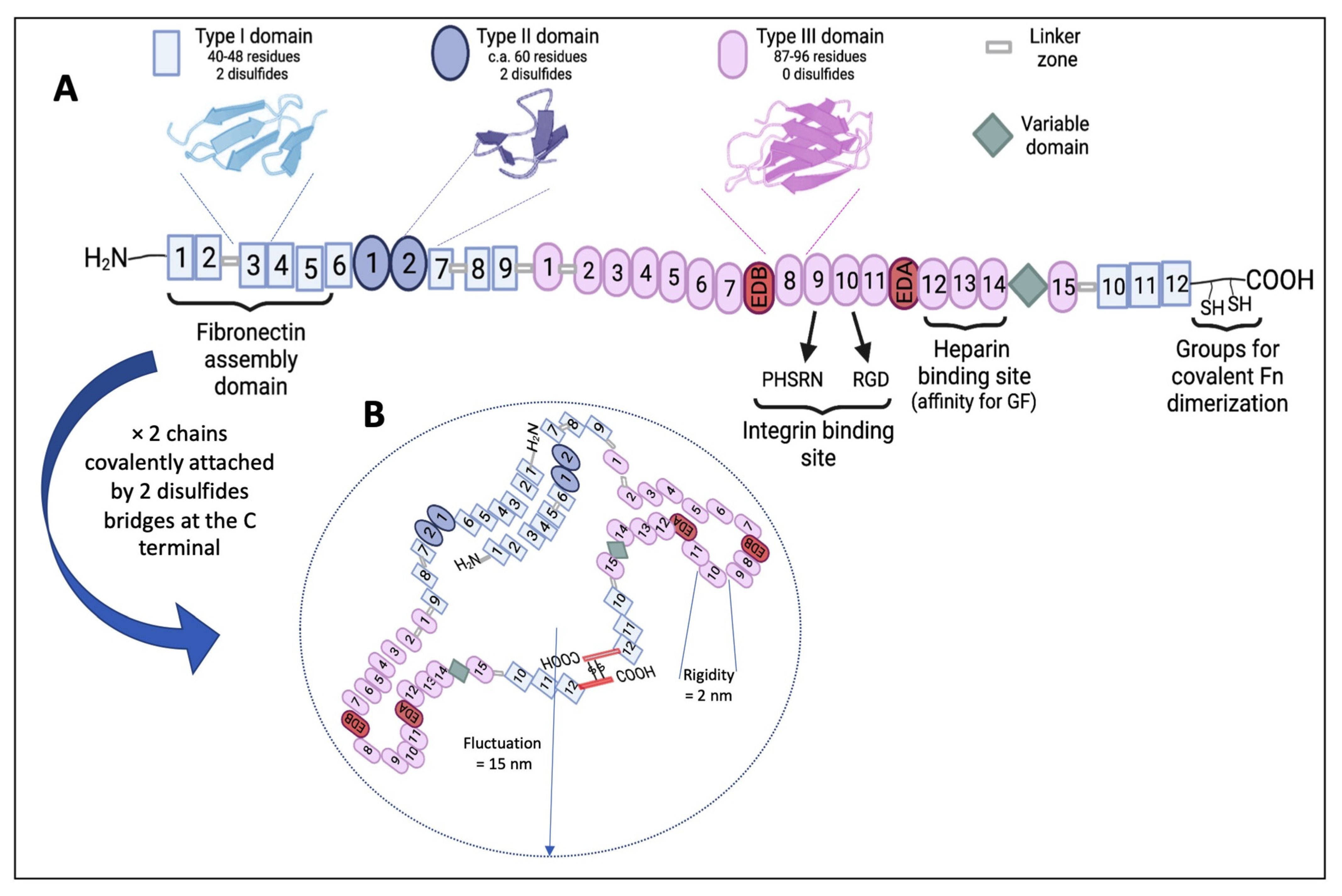 Applsci 11 12111 g001 Applsci 11 12111 g001