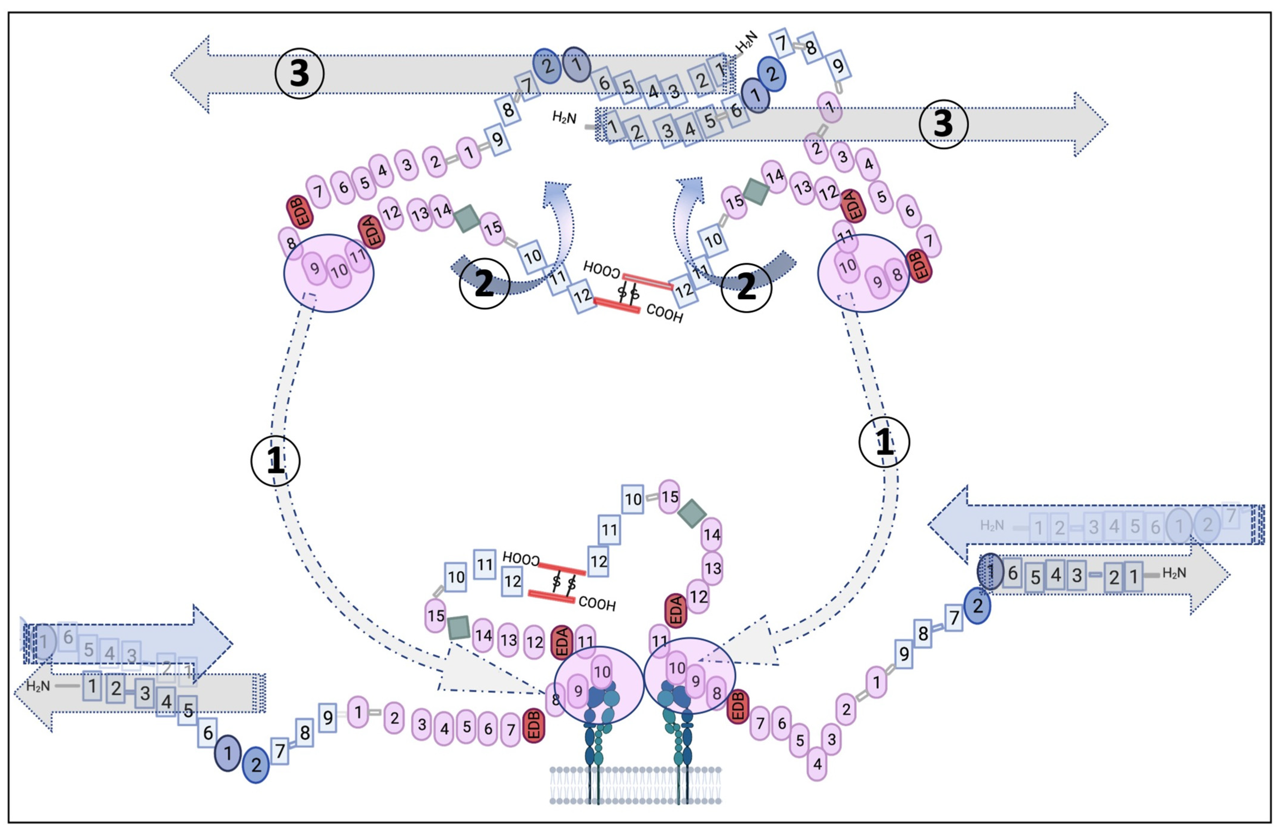 Applsci 11 12111 g003 Applsci 11 12111 g003