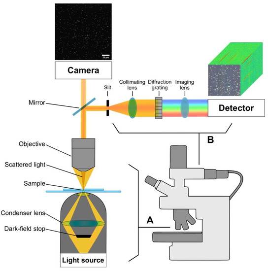 Applied Sciences Free FullText DarkField Hyperspectral Microscopy for Carbon Nanotubes