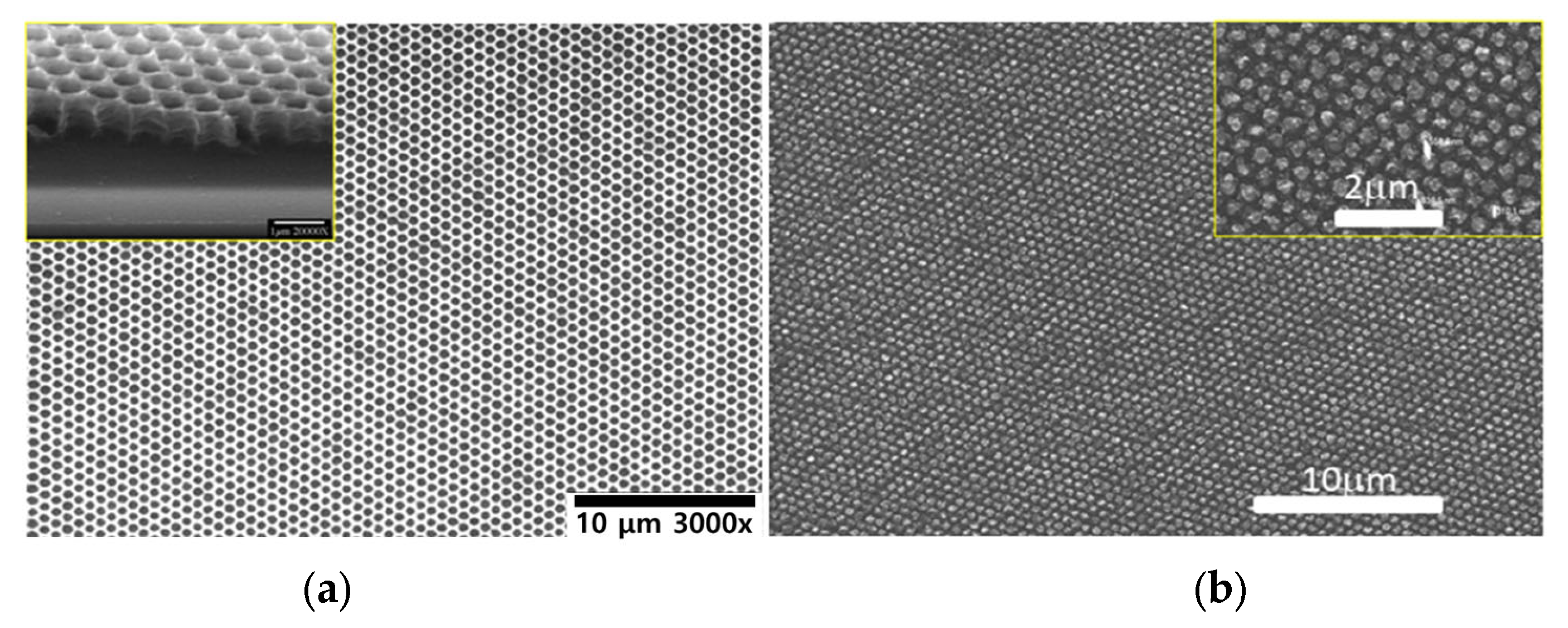 Applsci 11 12136 g006