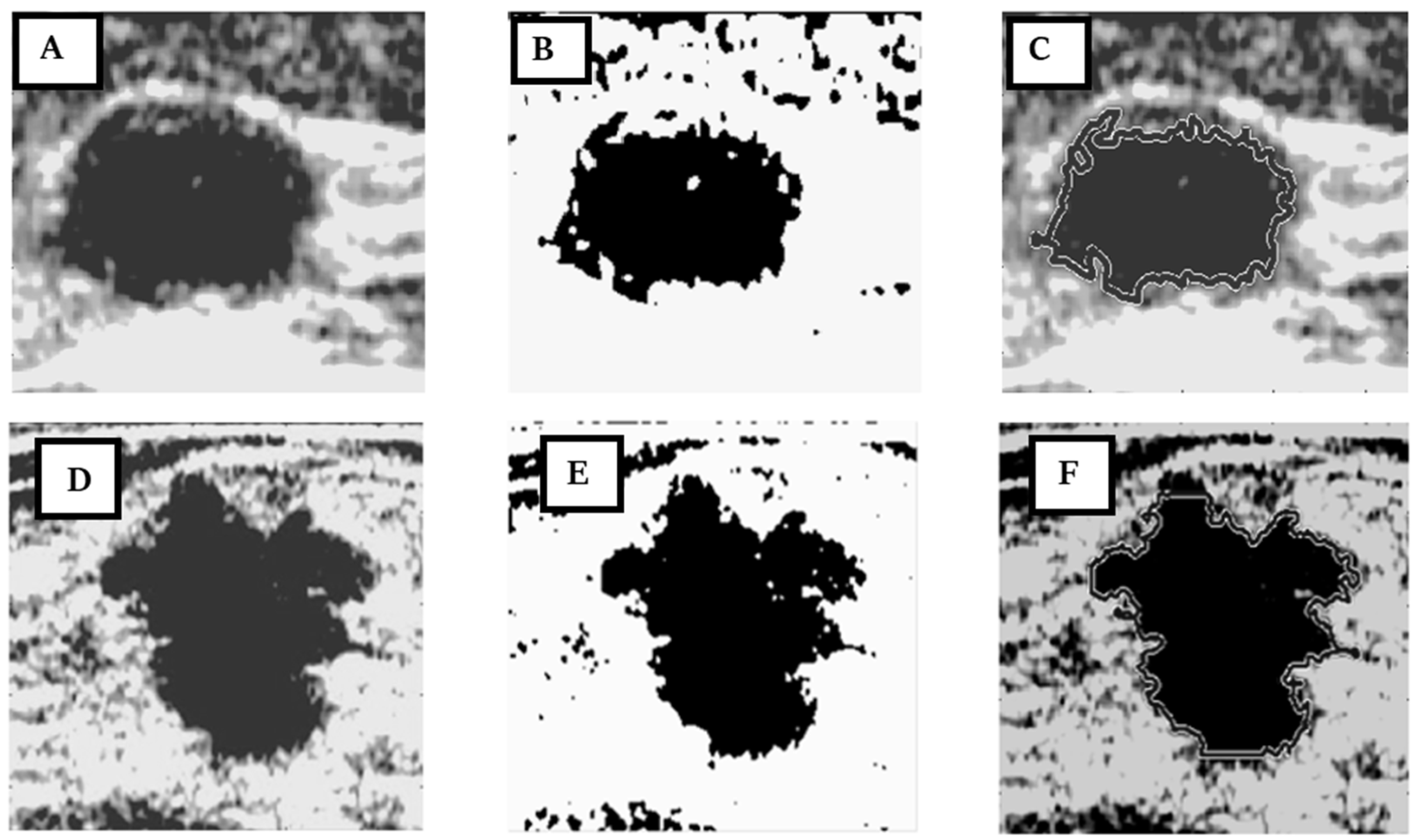 Applsci 11 12138 g002 550