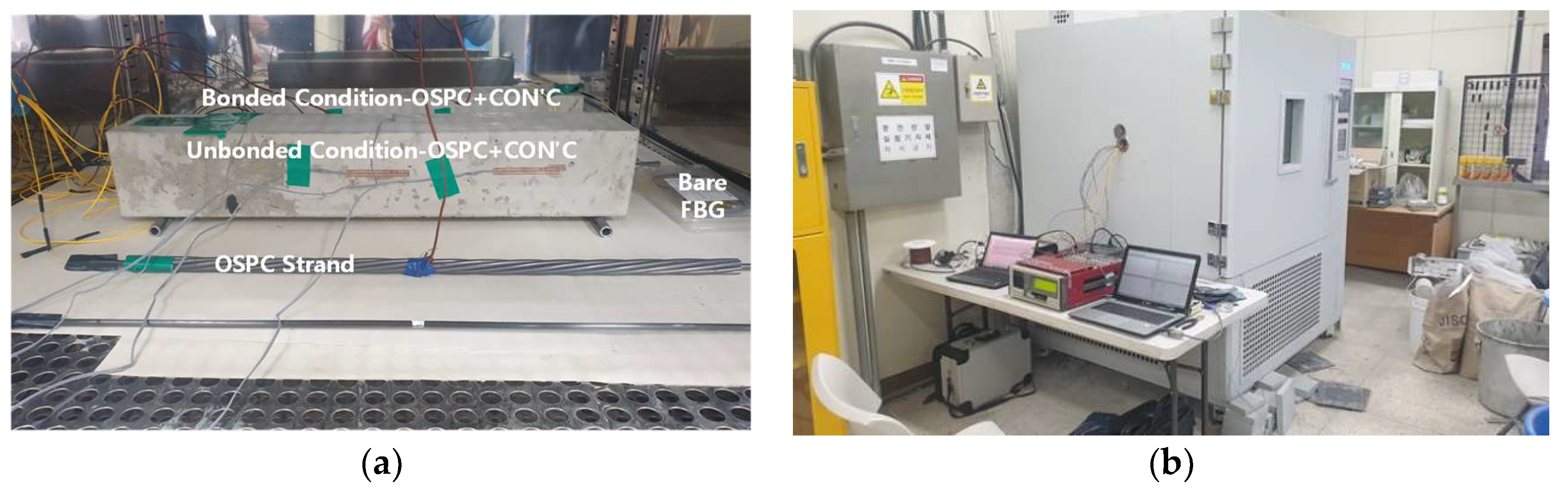 Applsci 11 12153 g012 550