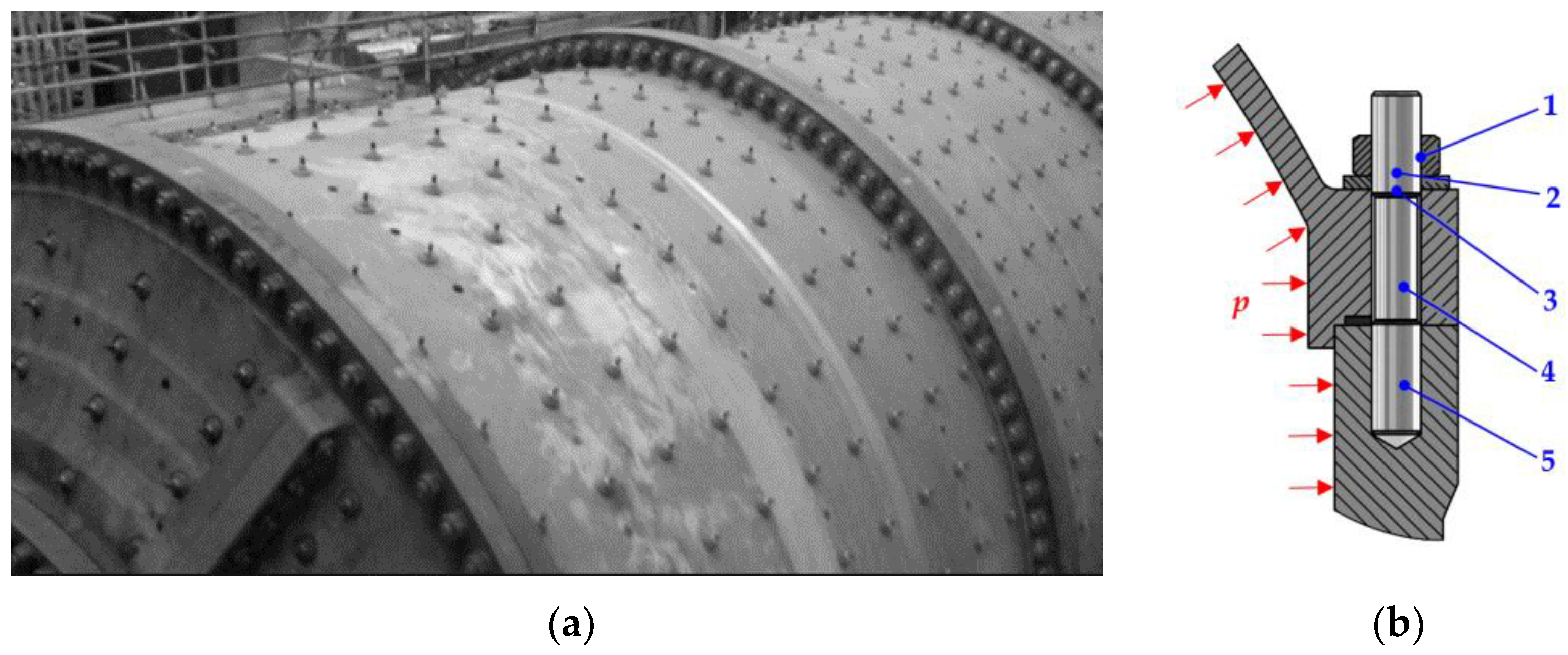 Applsci 11 12162 g001 550