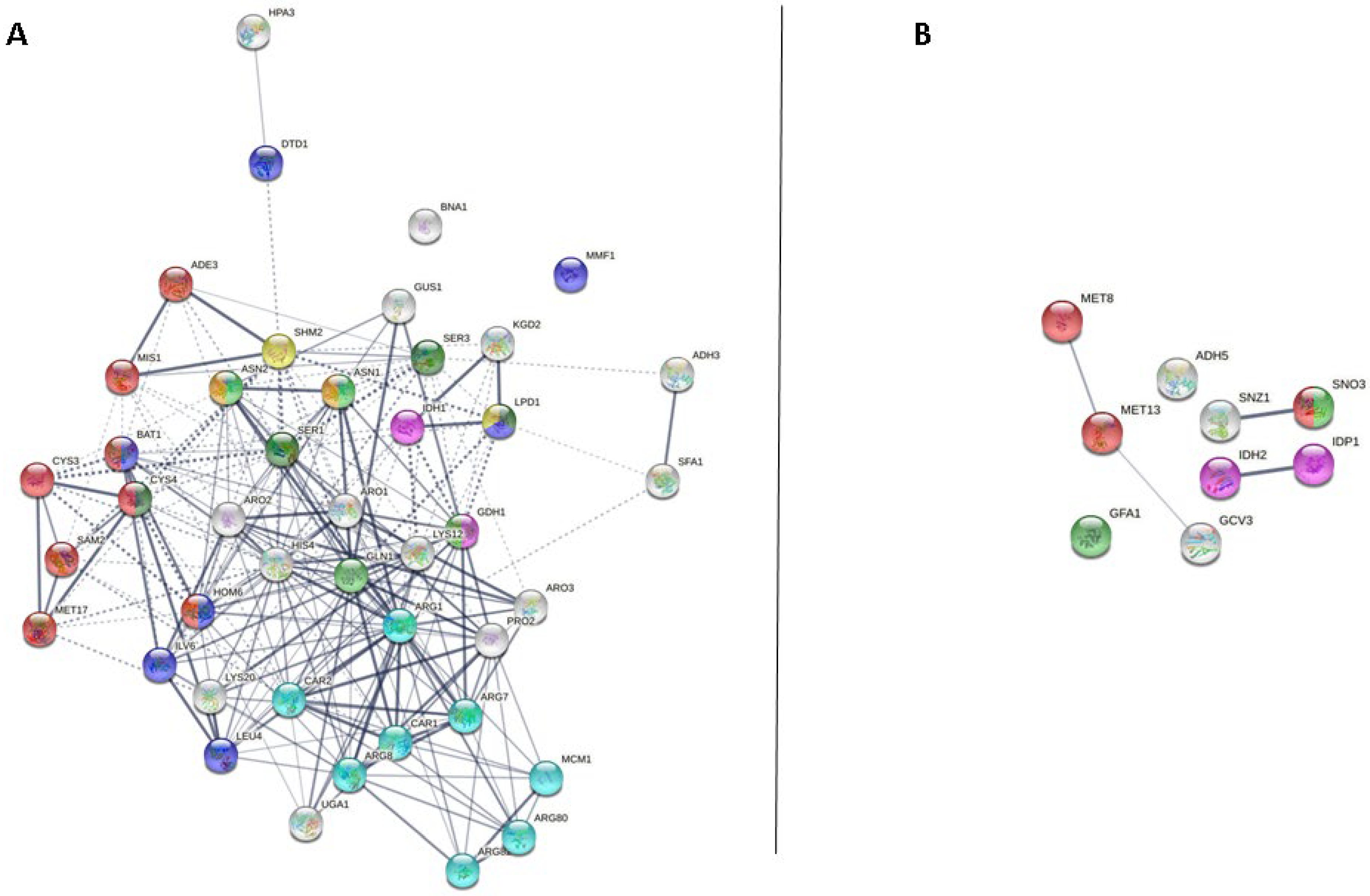 Applsci 11 12165 g003 Applsci 11 12165 g003