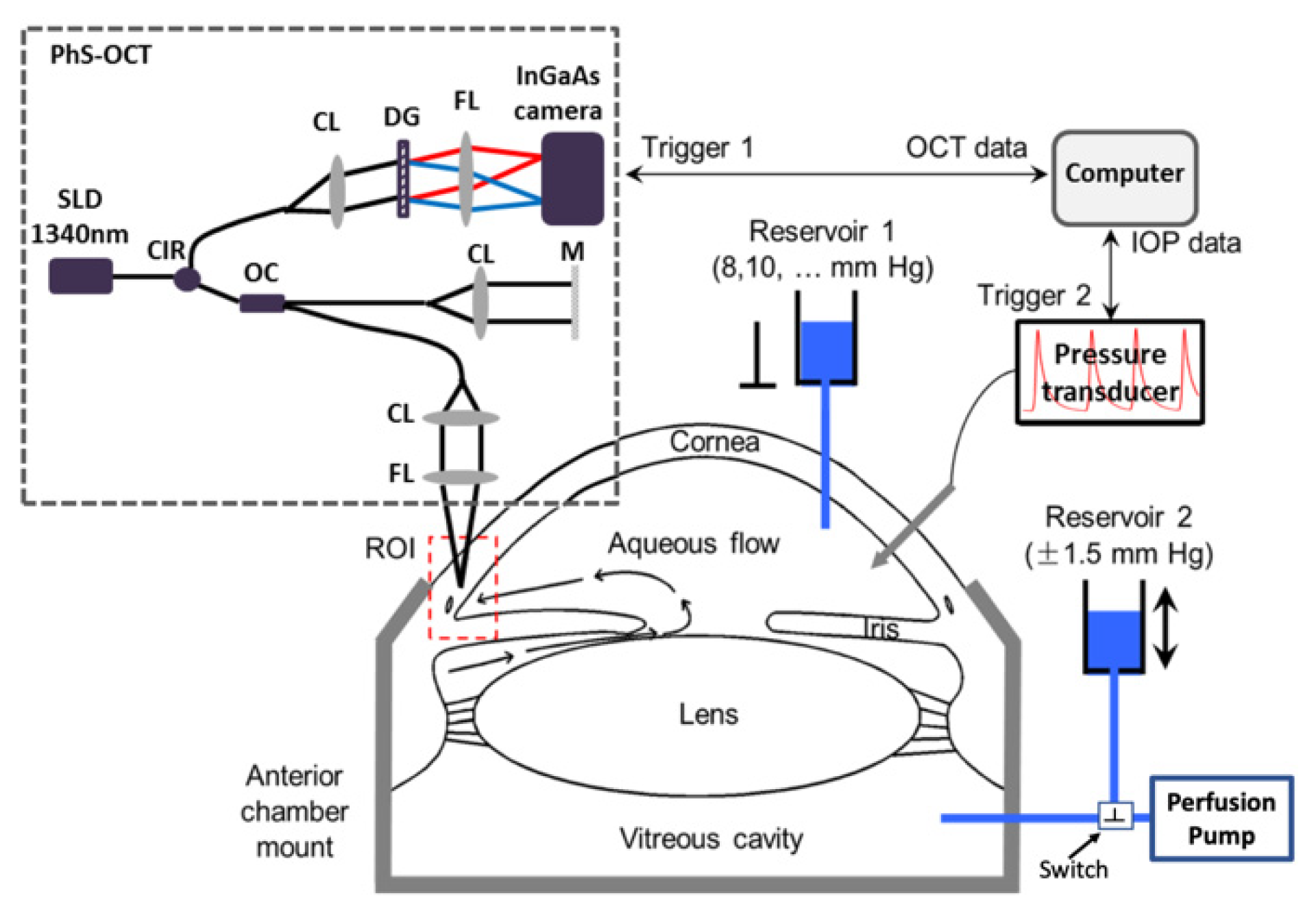 Applsci 12 00011 g001