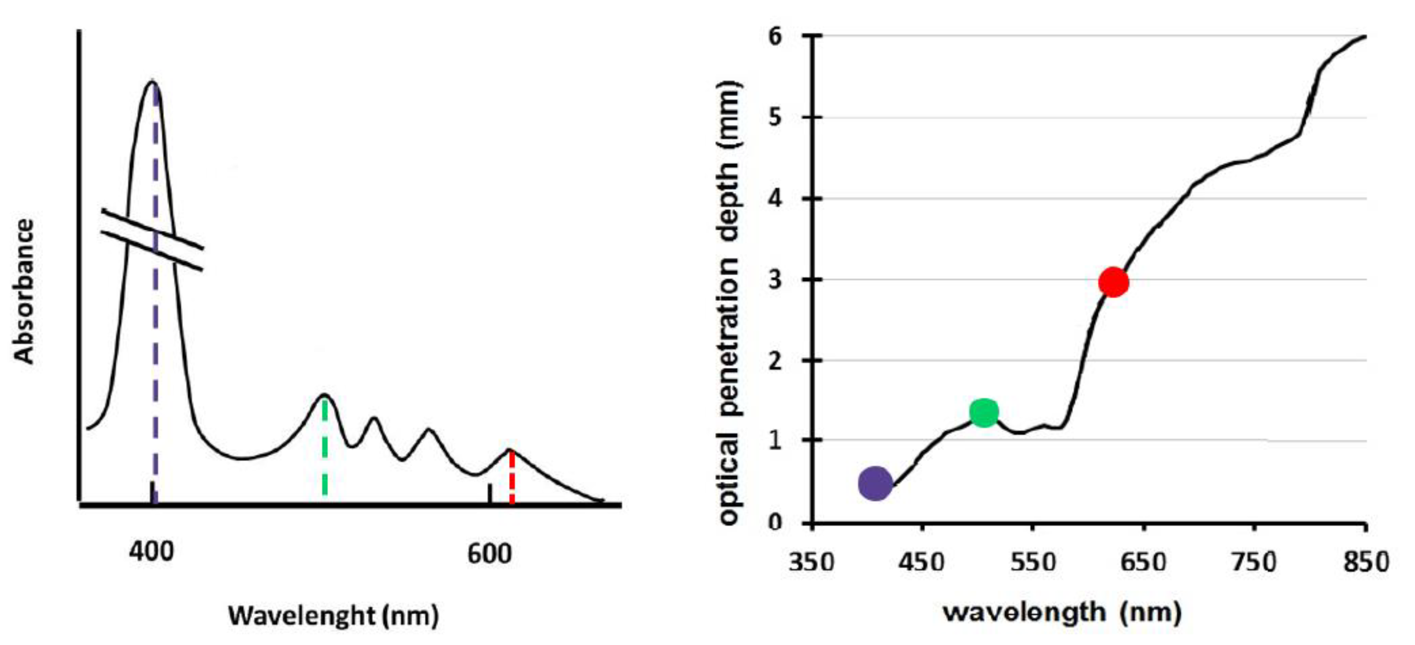 Applsci 12 00028 g002 550