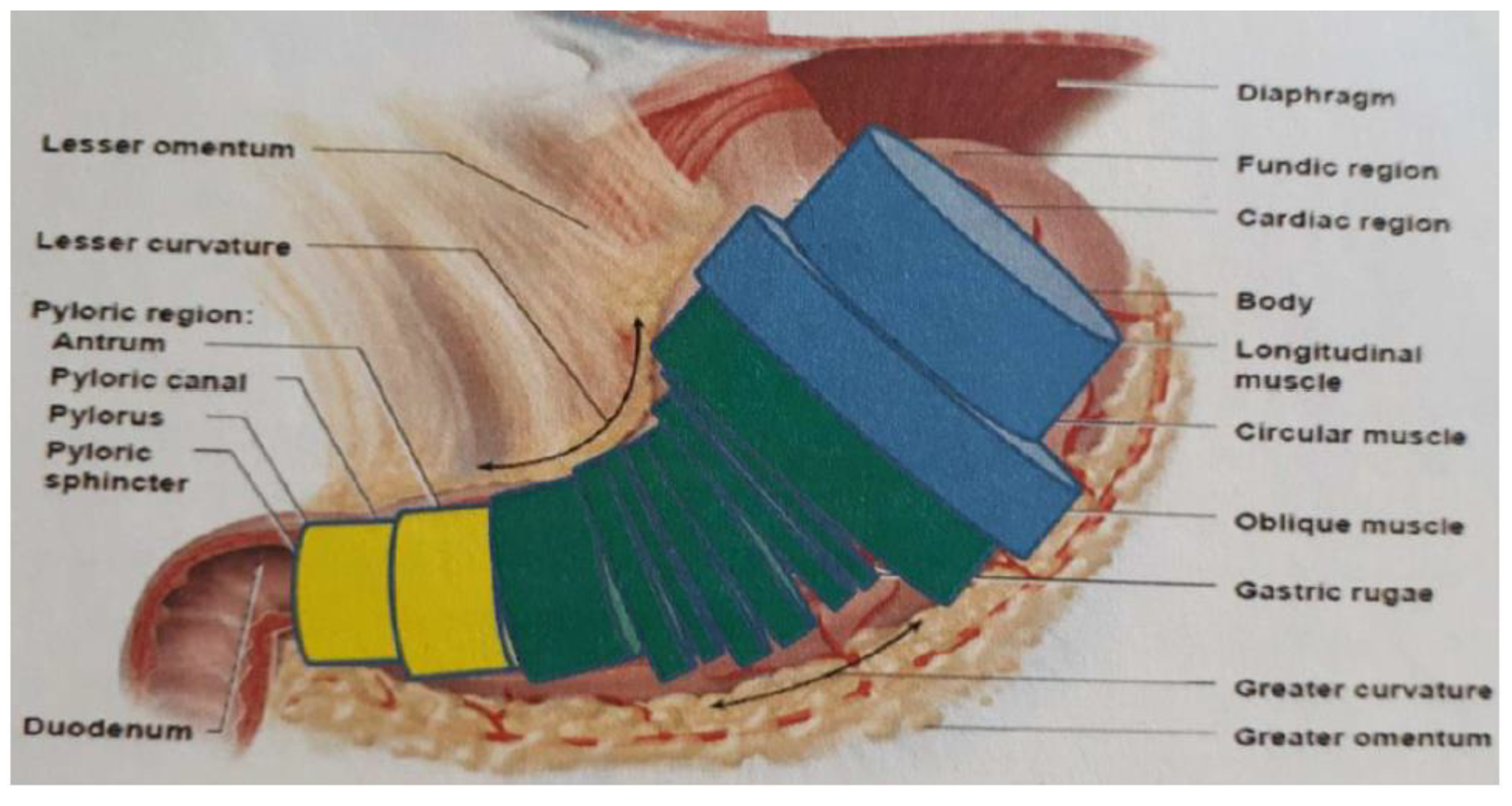 Applsci 12 00028 g005 550