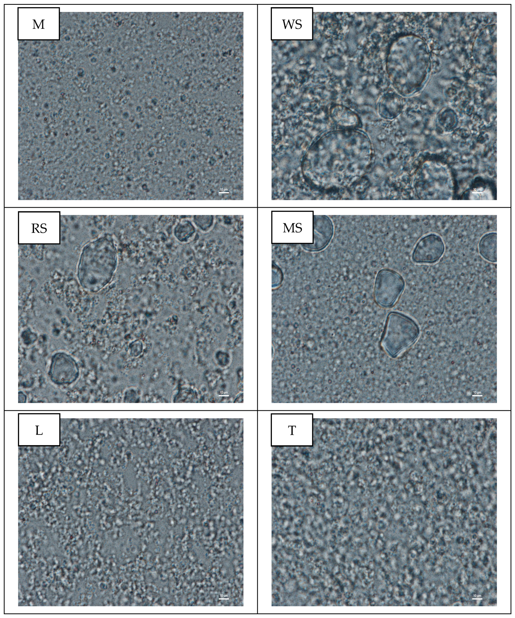 Applsci 12 00033 g003