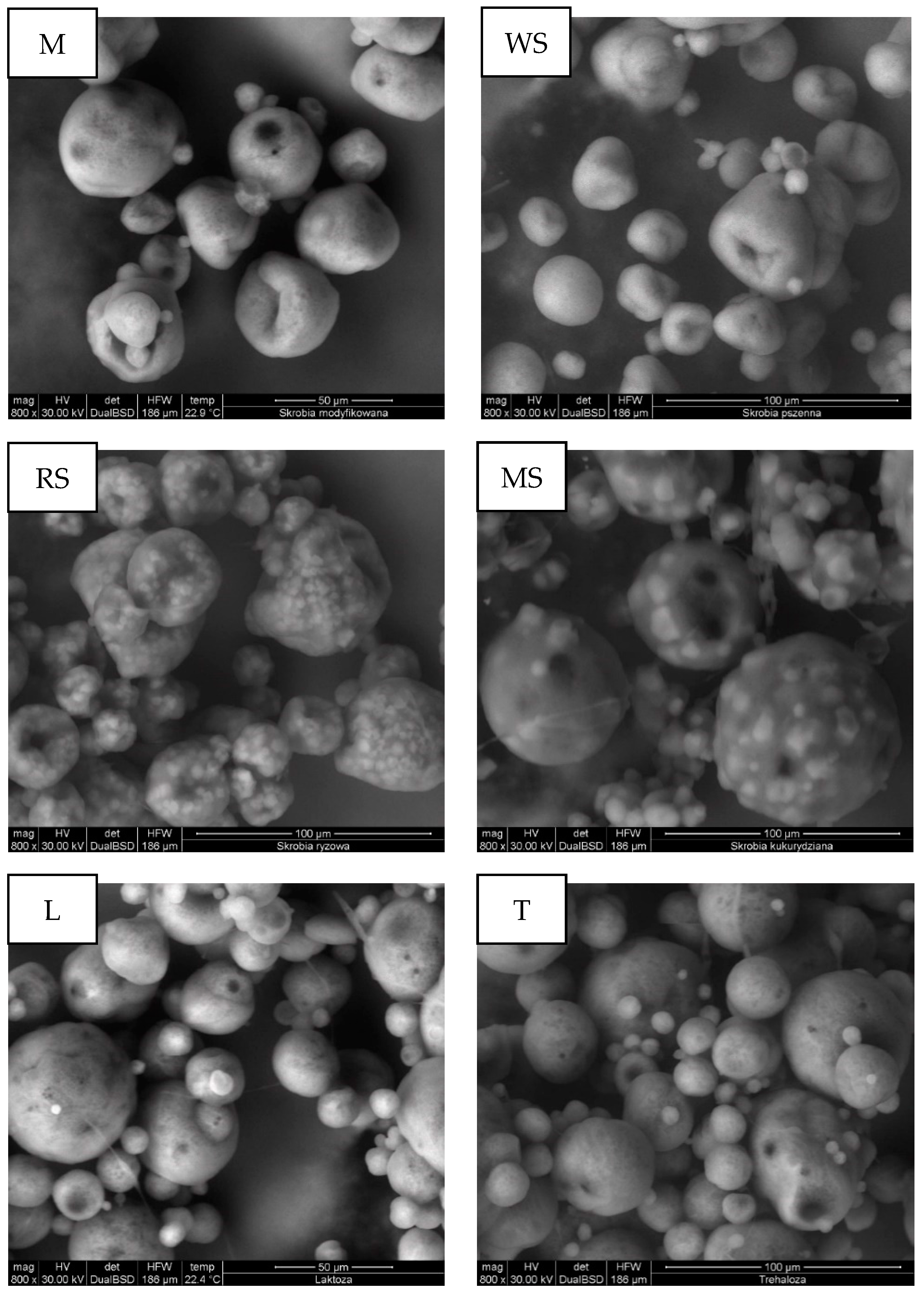 Applsci 12 00033 g004