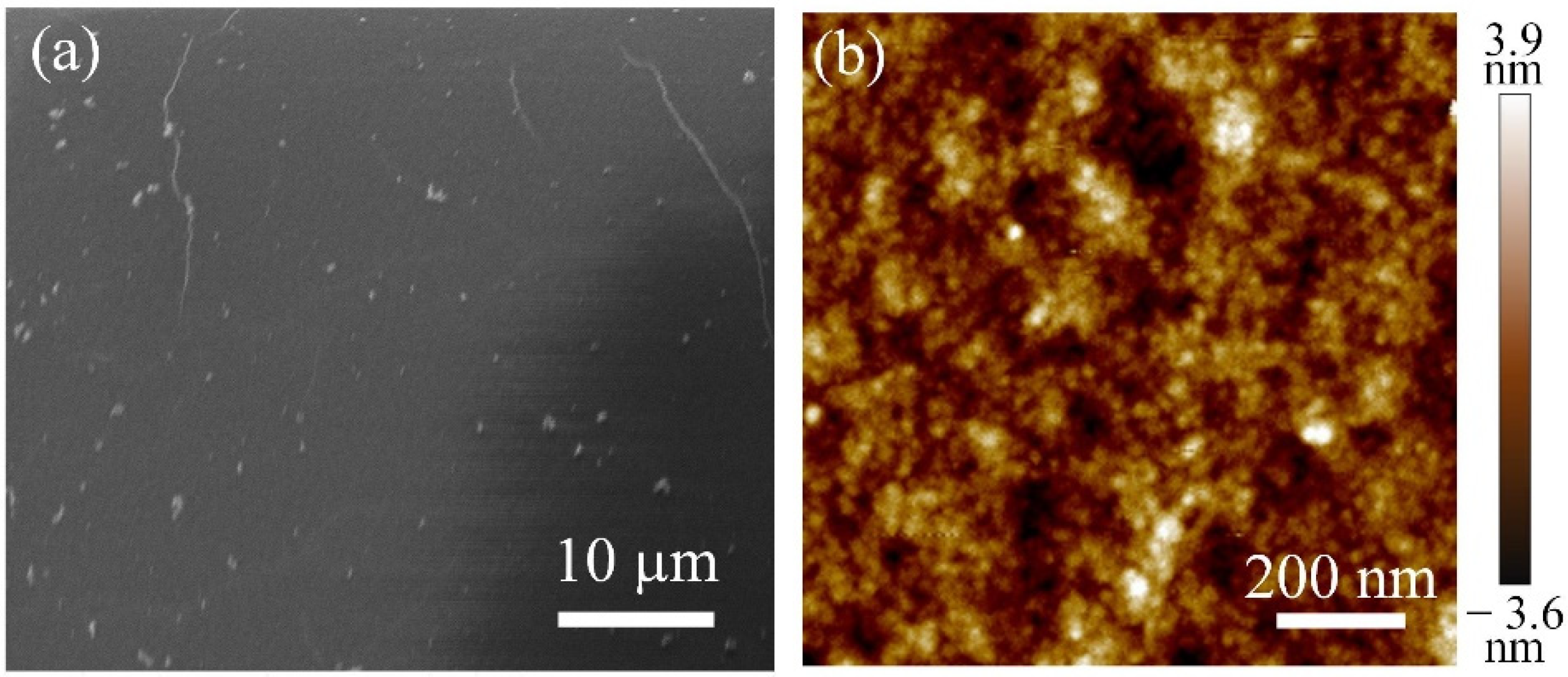 Applsci 12 00058 g002