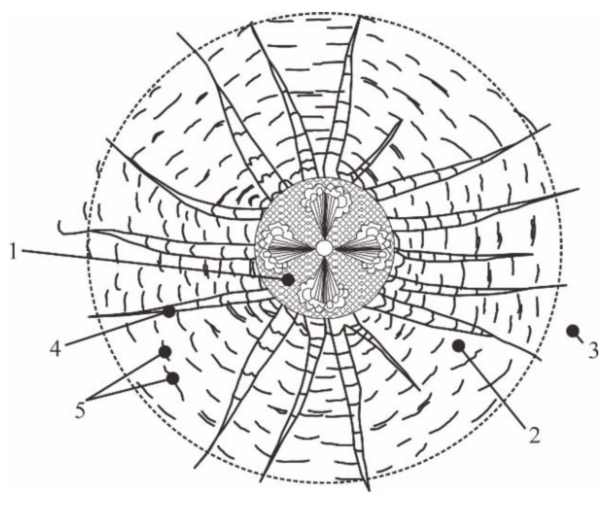 Applsci 12 00068 g004