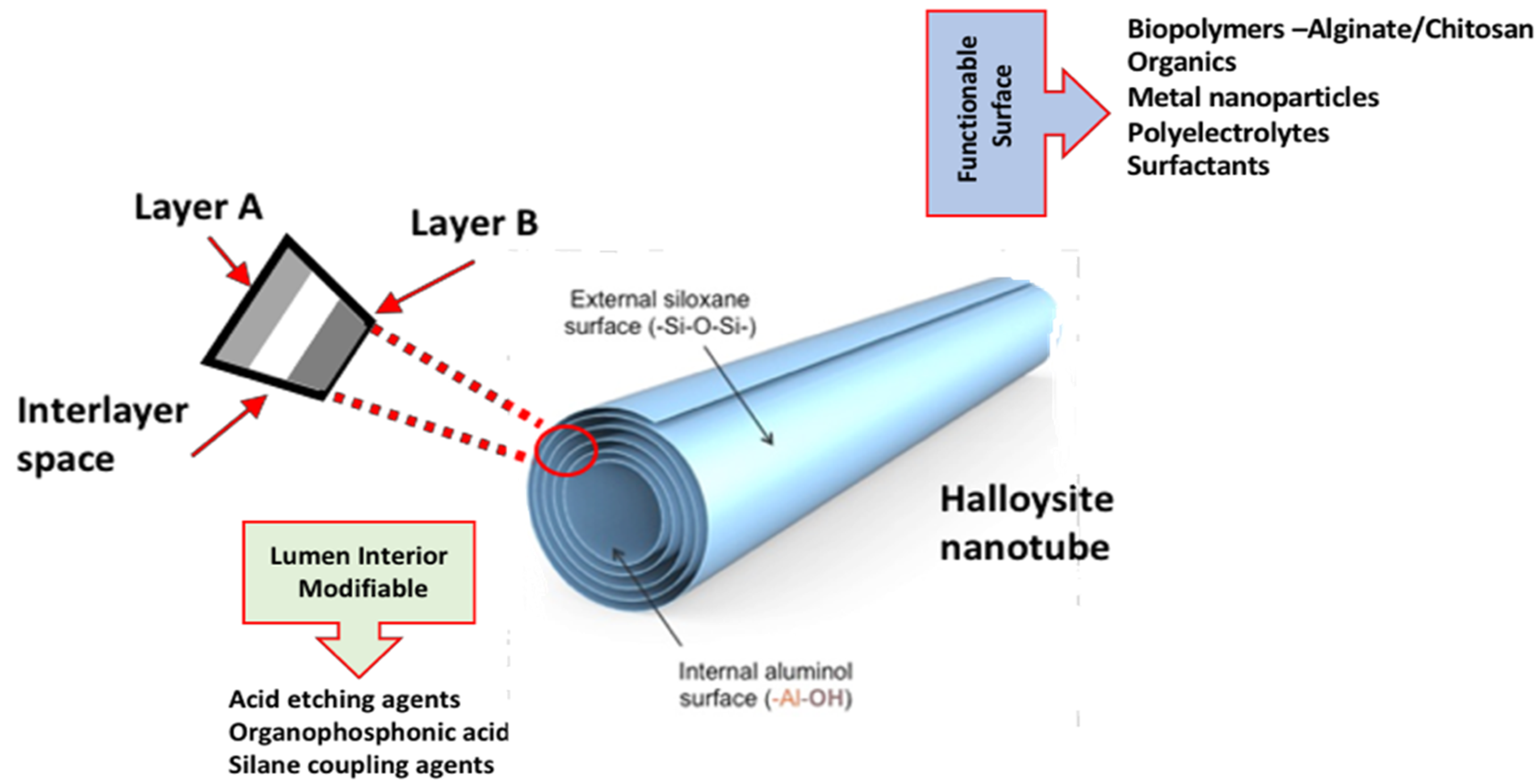 Applsci 12 00087 g002 Applsci 12 00087 g002