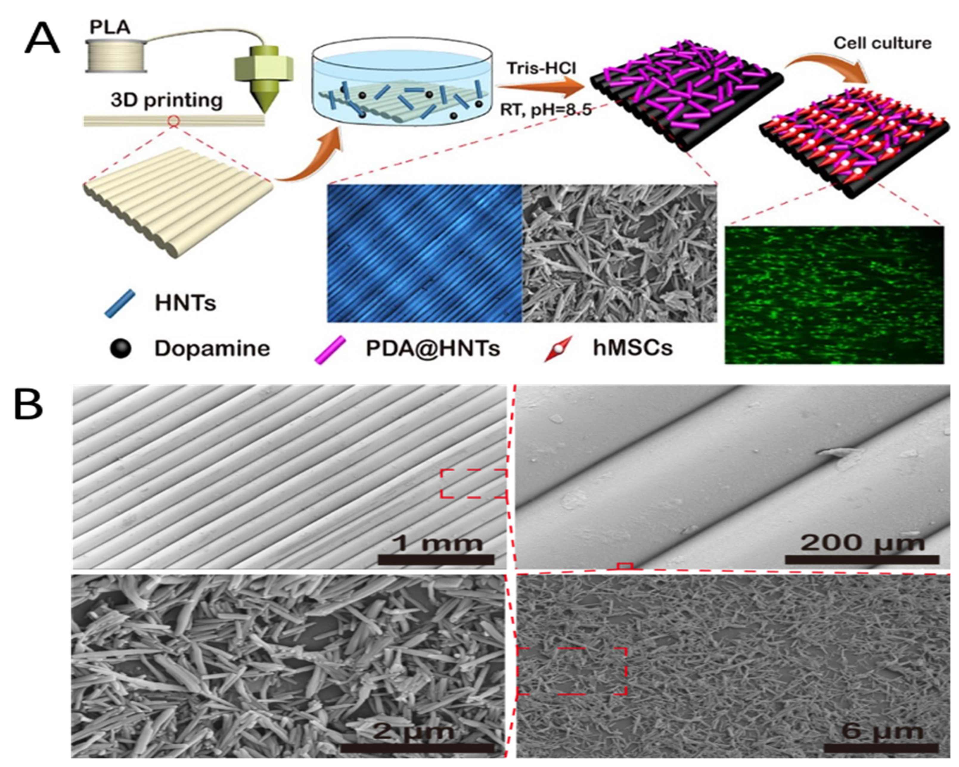 Applsci 12 00087 g005 Applsci 12 00087 g005